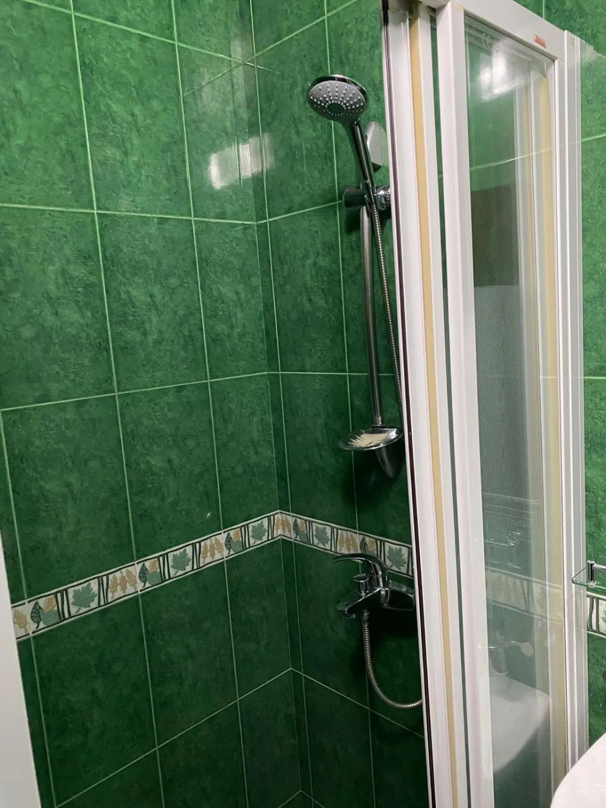 Shower in Hotel Pavo