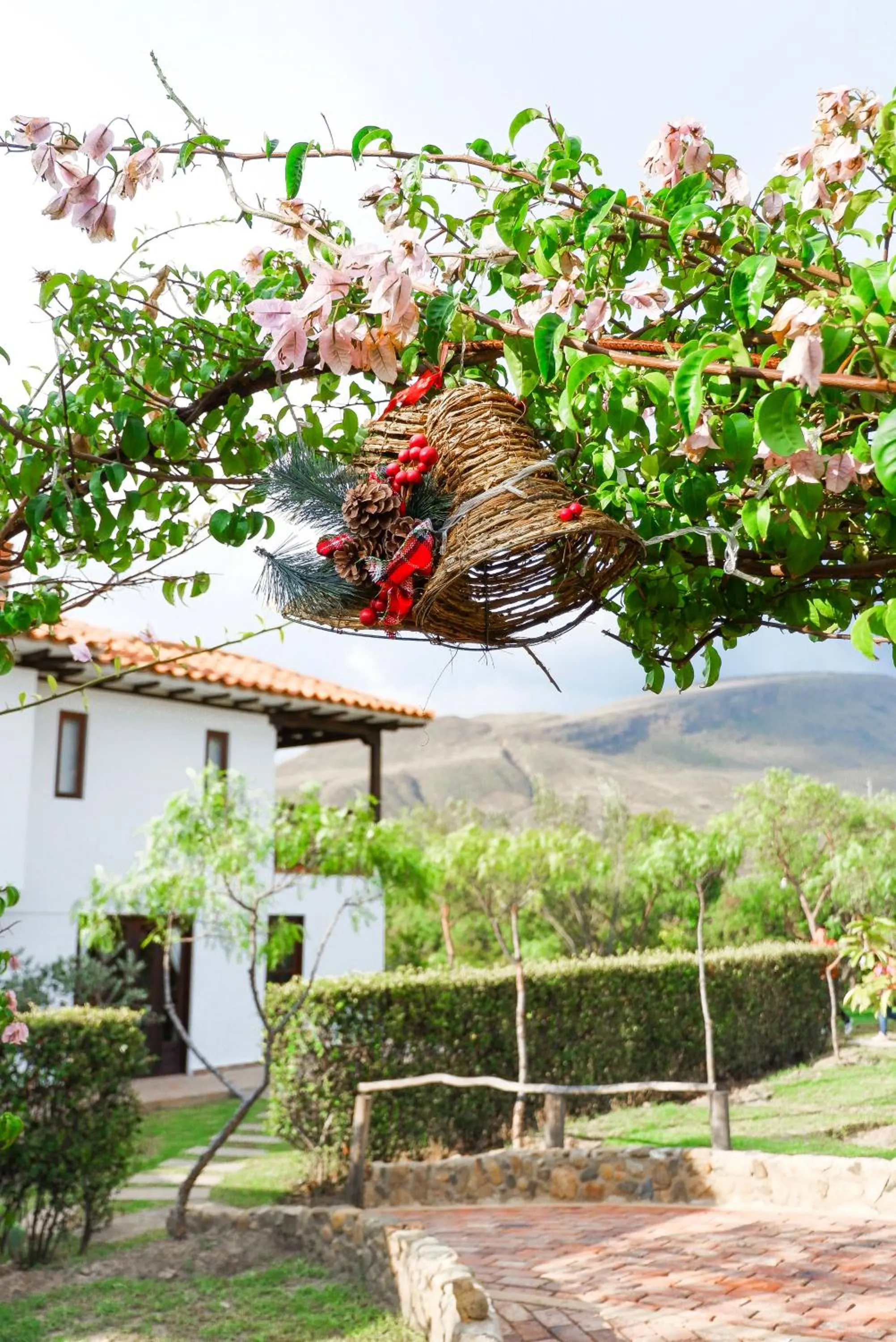 VoyAca Hotel - Alfareria