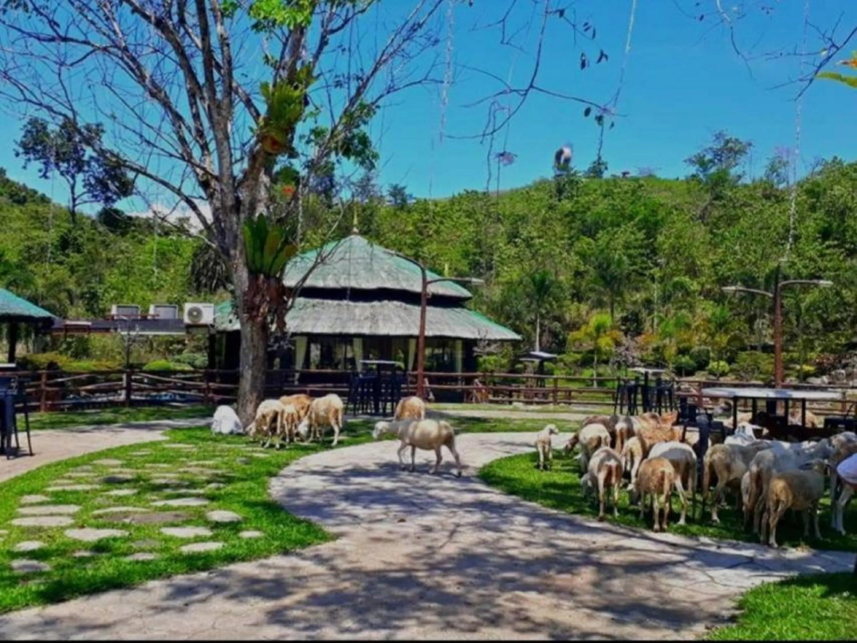 Property building in Balay Ni Tatay Farm Resort by Cocotel