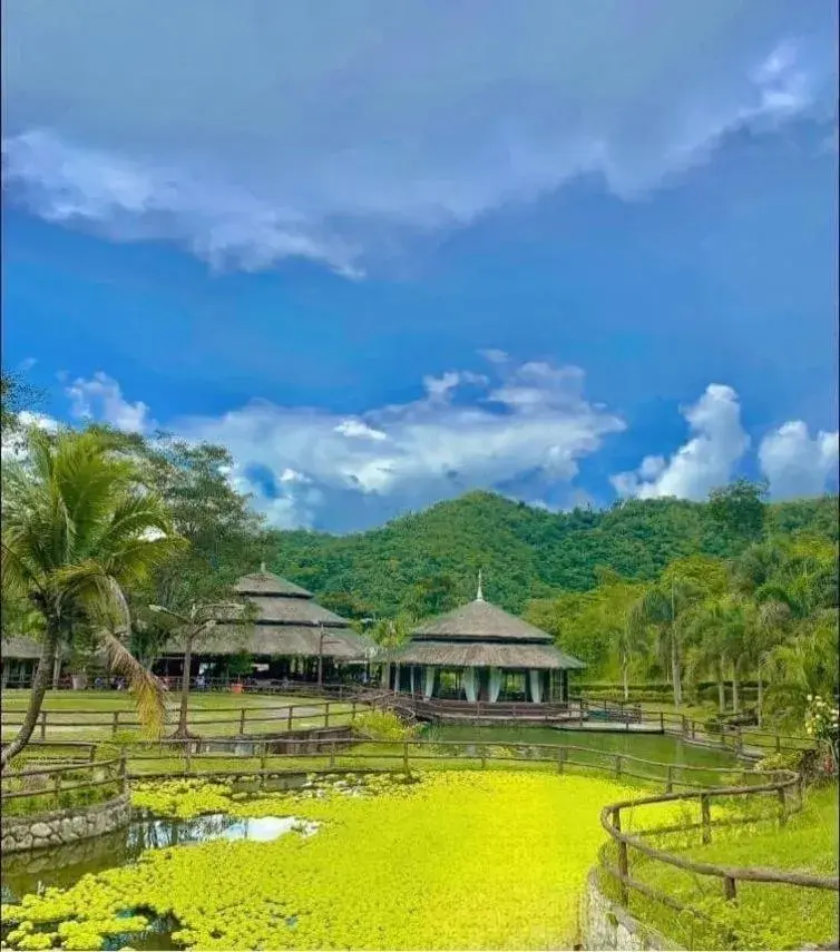 Property building in Balay Ni Tatay Farm Resort by Cocotel Property building in Balay Ni Tatay Farm Resort by Cocotel