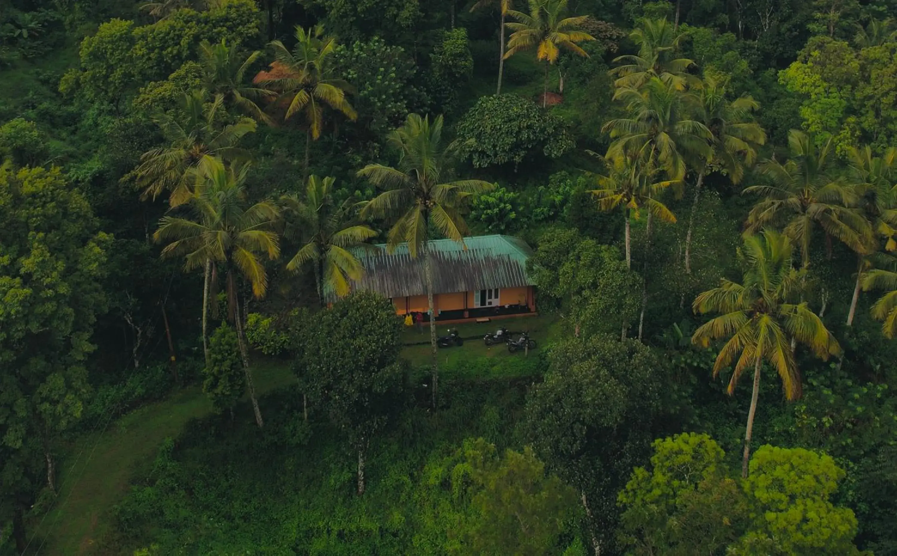 View (from property/room) in Punarjani Ayurvedic Resorts View (from property/room) in Punarjani Ayurvedic Resorts