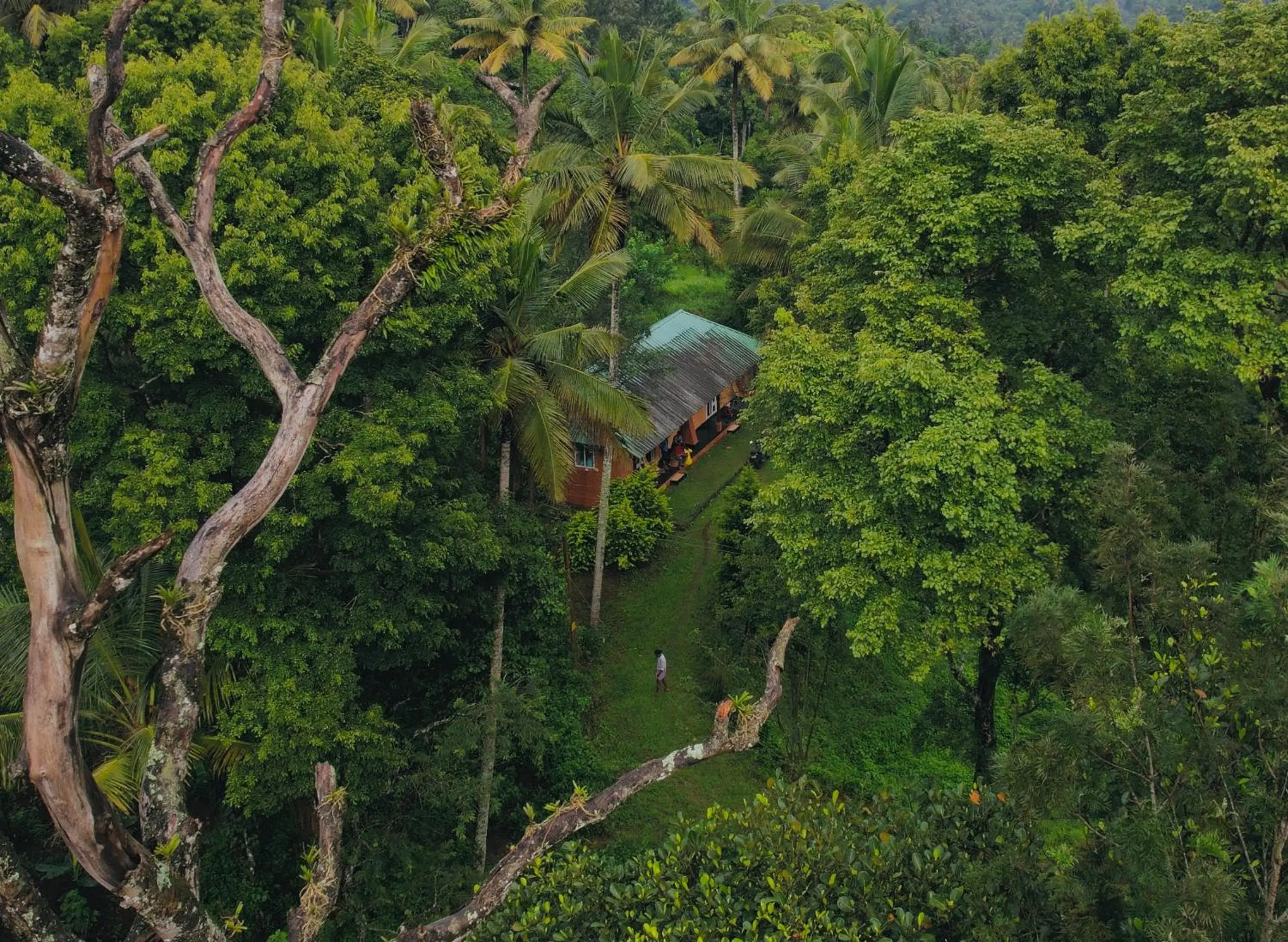 View (from property/room) in Punarjani Ayurvedic Resorts View (from property/room) in Punarjani Ayurvedic Resorts