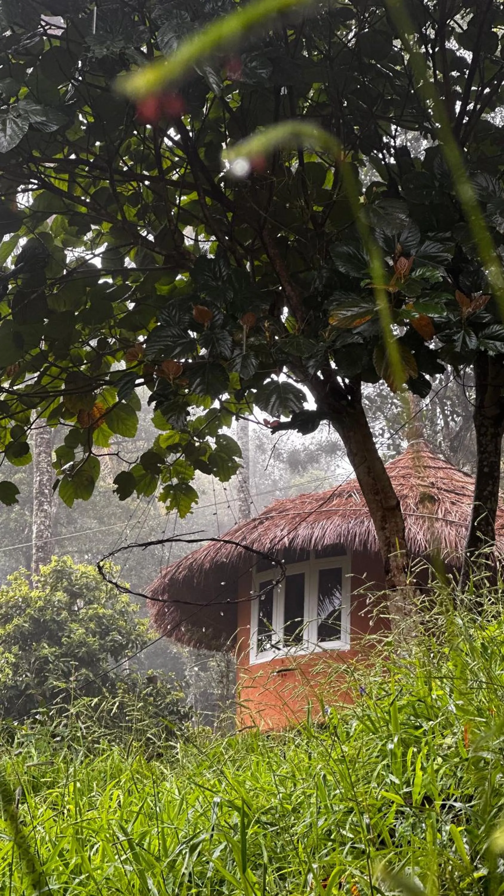 View (from property/room) in Punarjani Ayurvedic Resorts