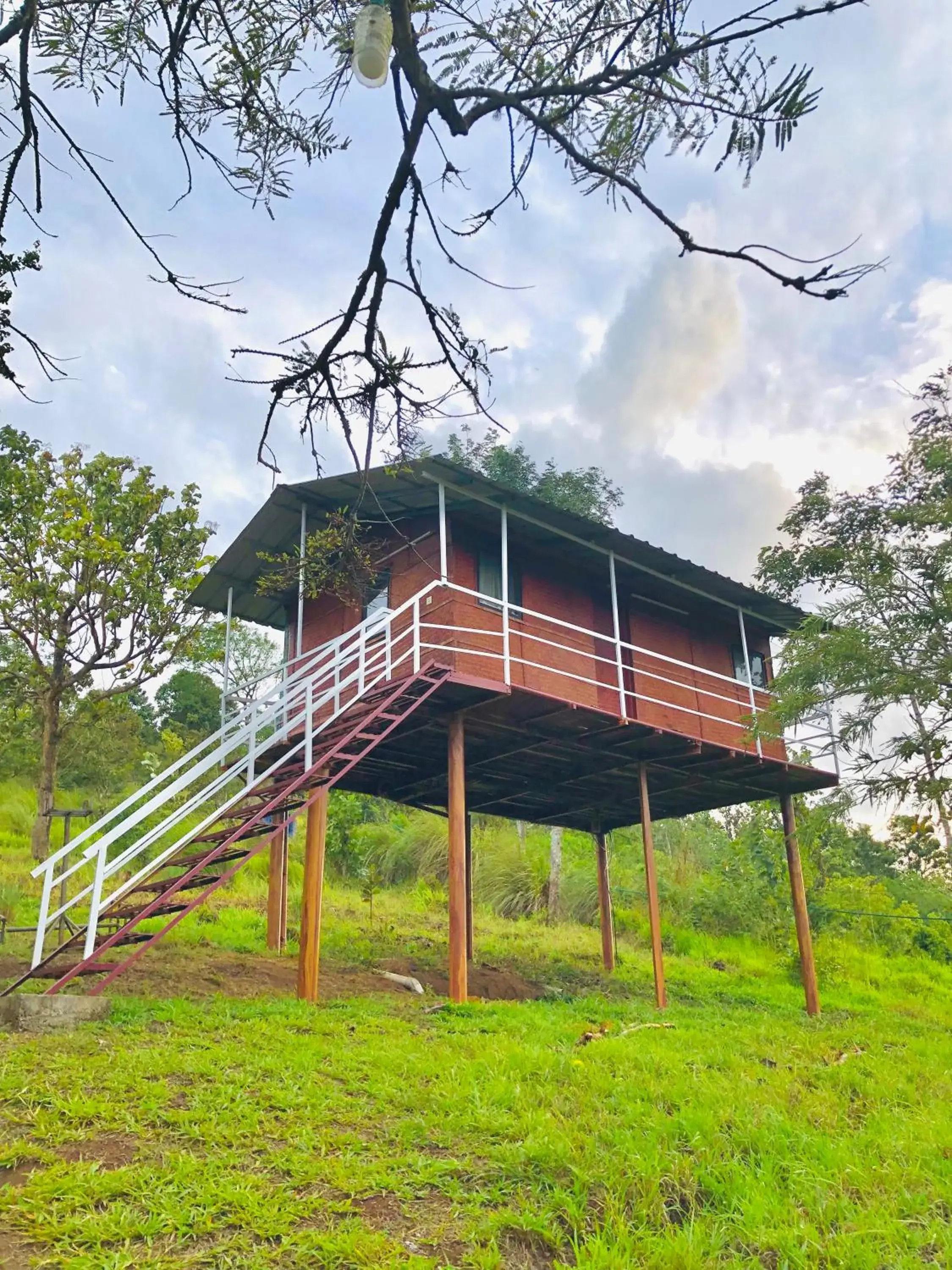 Double Room with Park View in Punarjani Ayurvedic Resorts Double Room with Park View in Punarjani Ayurvedic Resorts