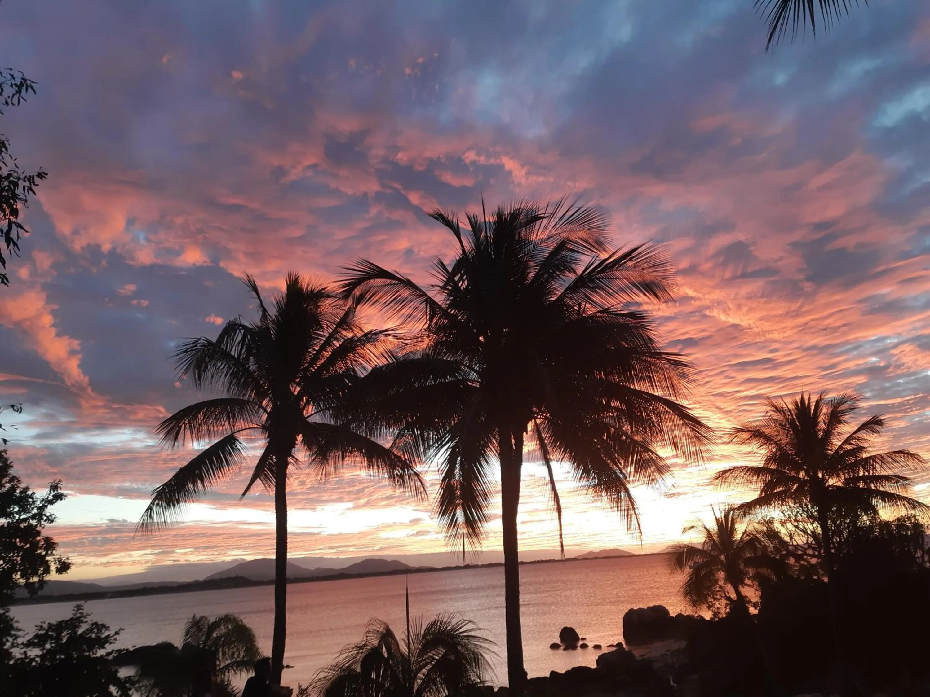 Beach in Whitsunday Sands Resort