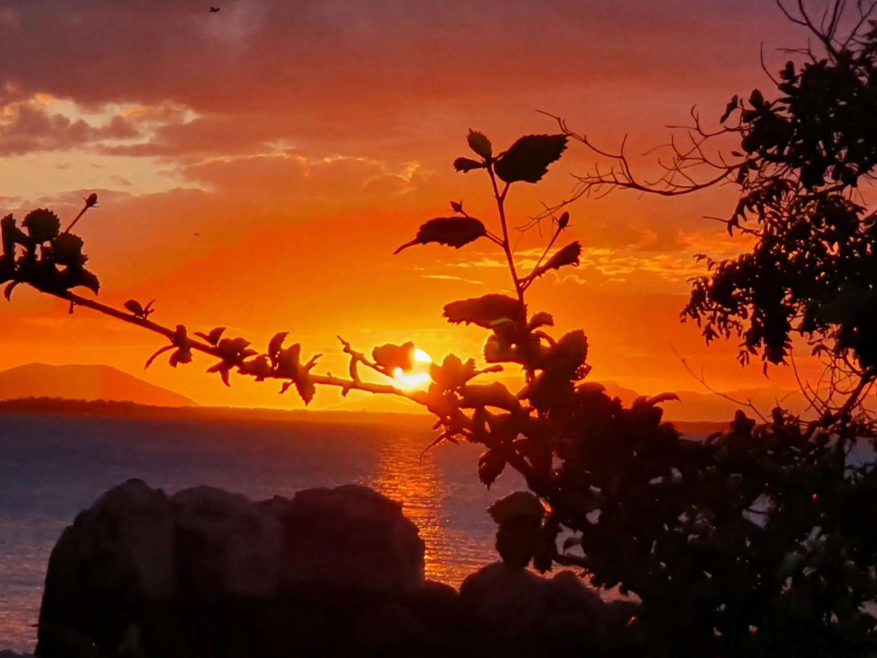 Location in Whitsunday Sands Resort Location in Whitsunday Sands Resort