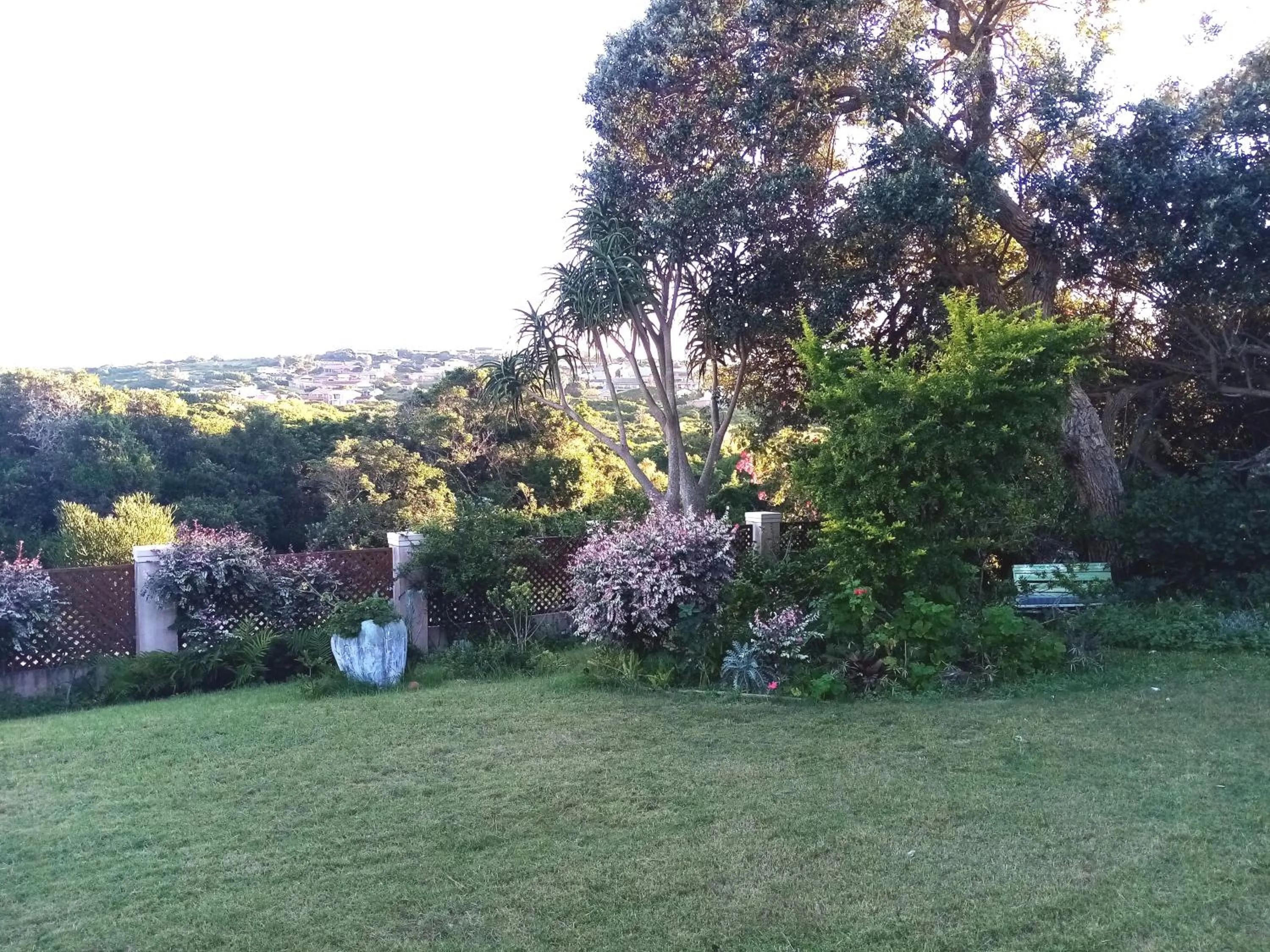 Garden view in Sea Valley Villa