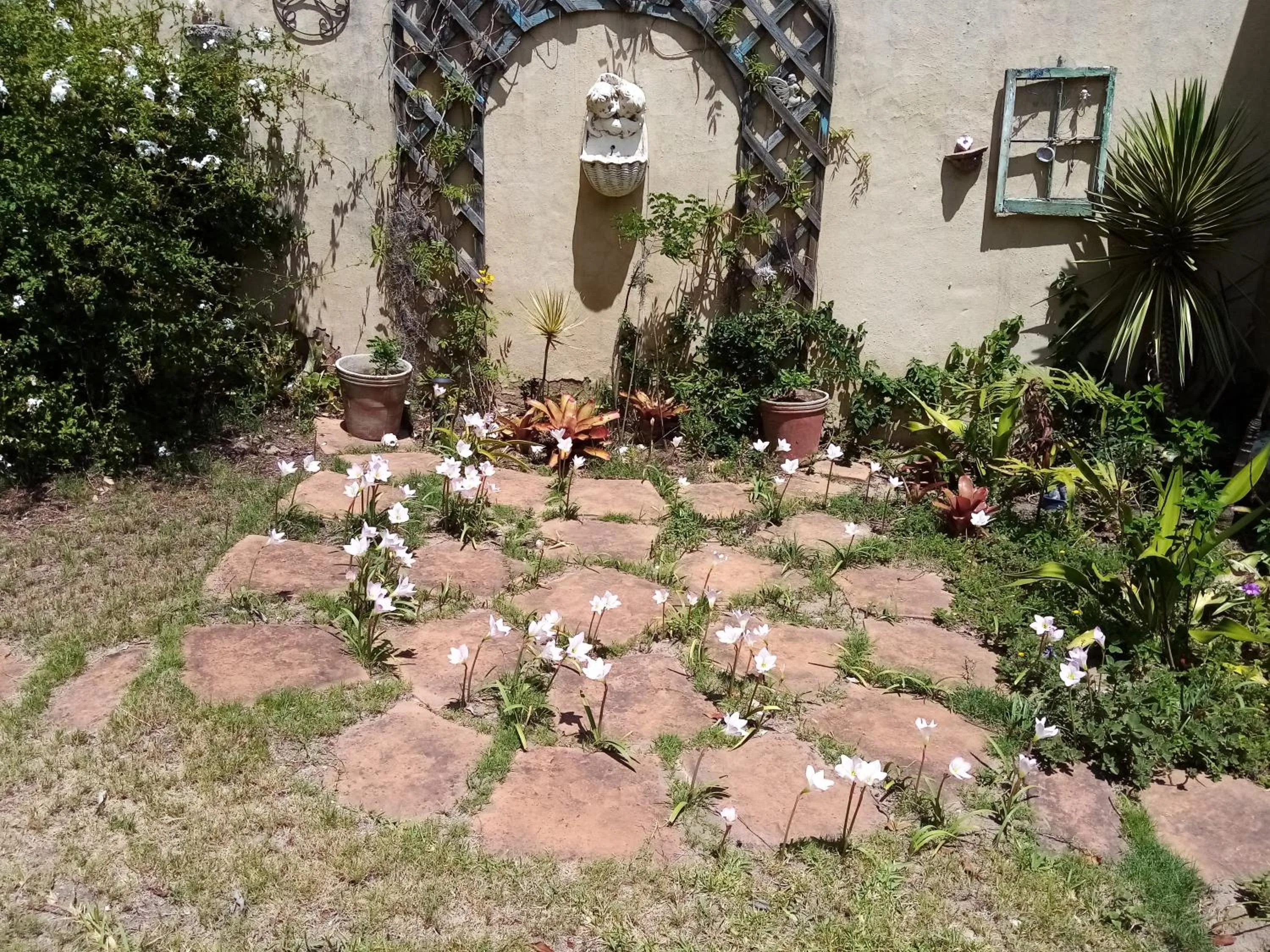 Garden view in Sea Valley Villa