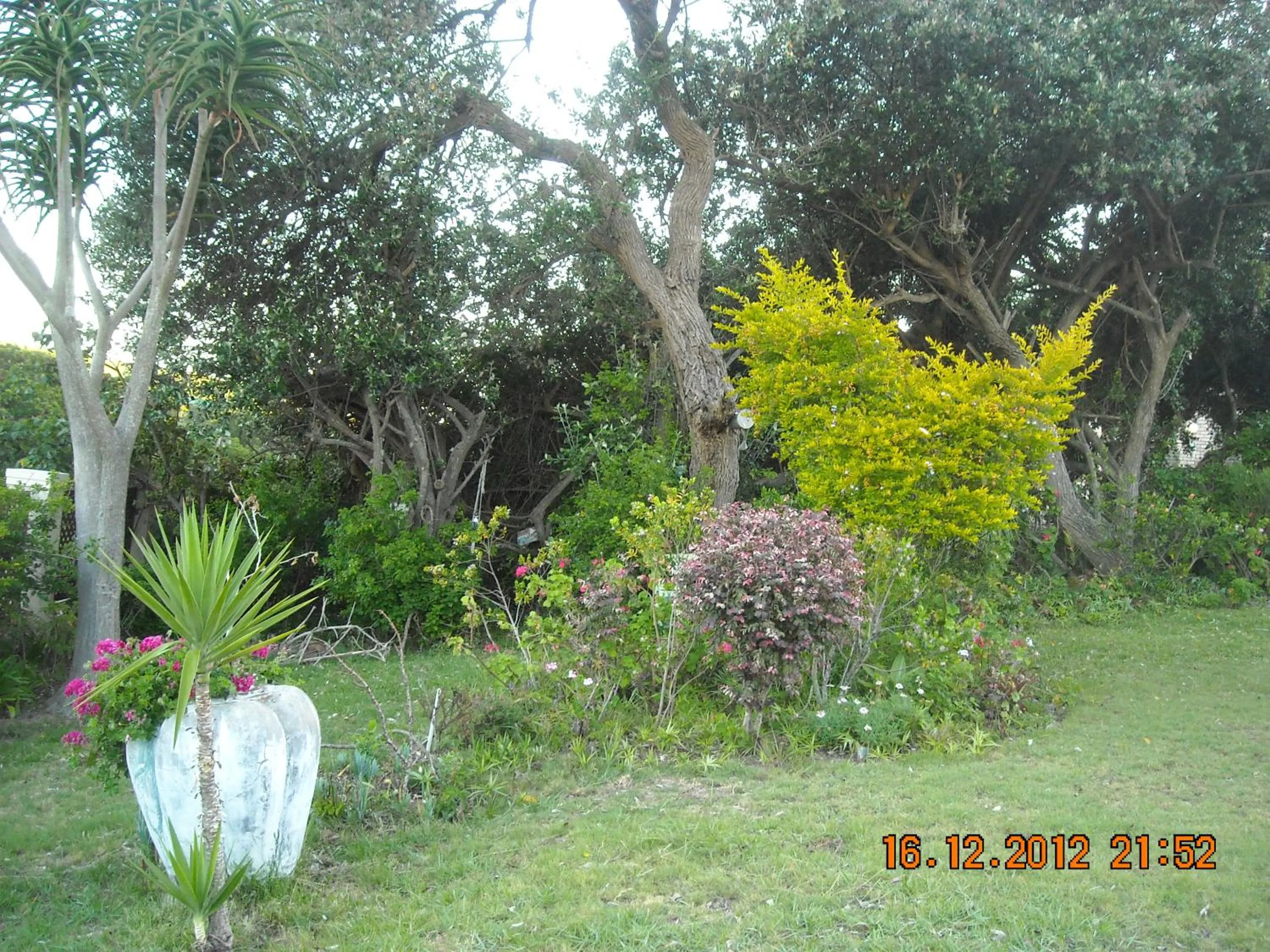 Garden in Sea Valley Villa