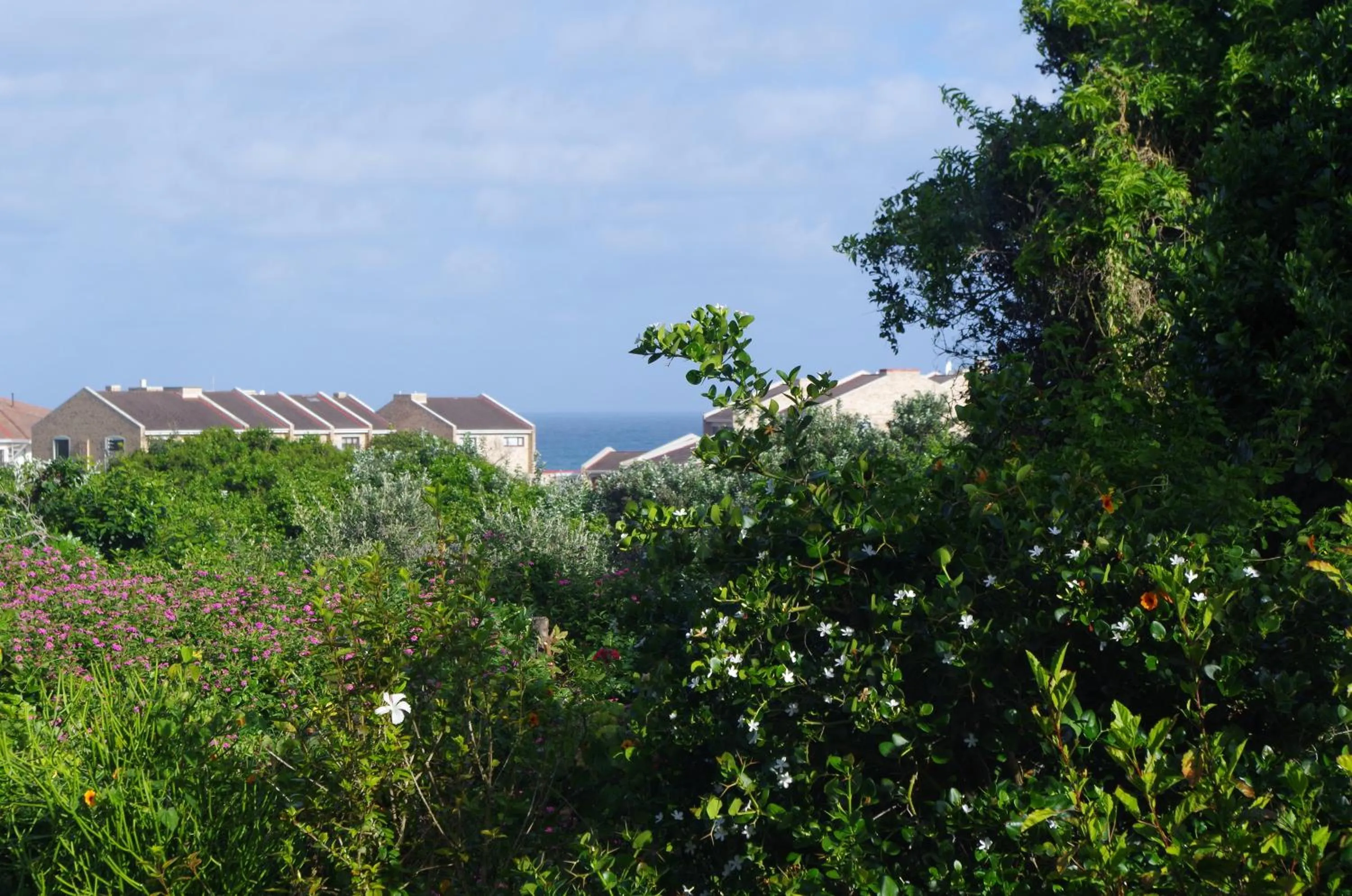 Neighbourhood in Sea Valley Villa