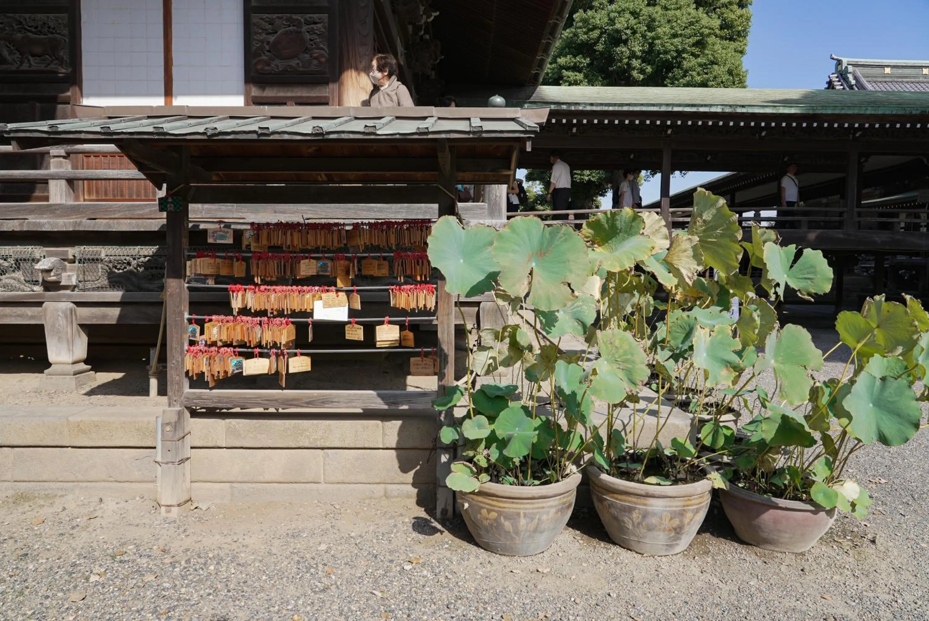 Neighbourhood in Lodging Tokyo Shibamata