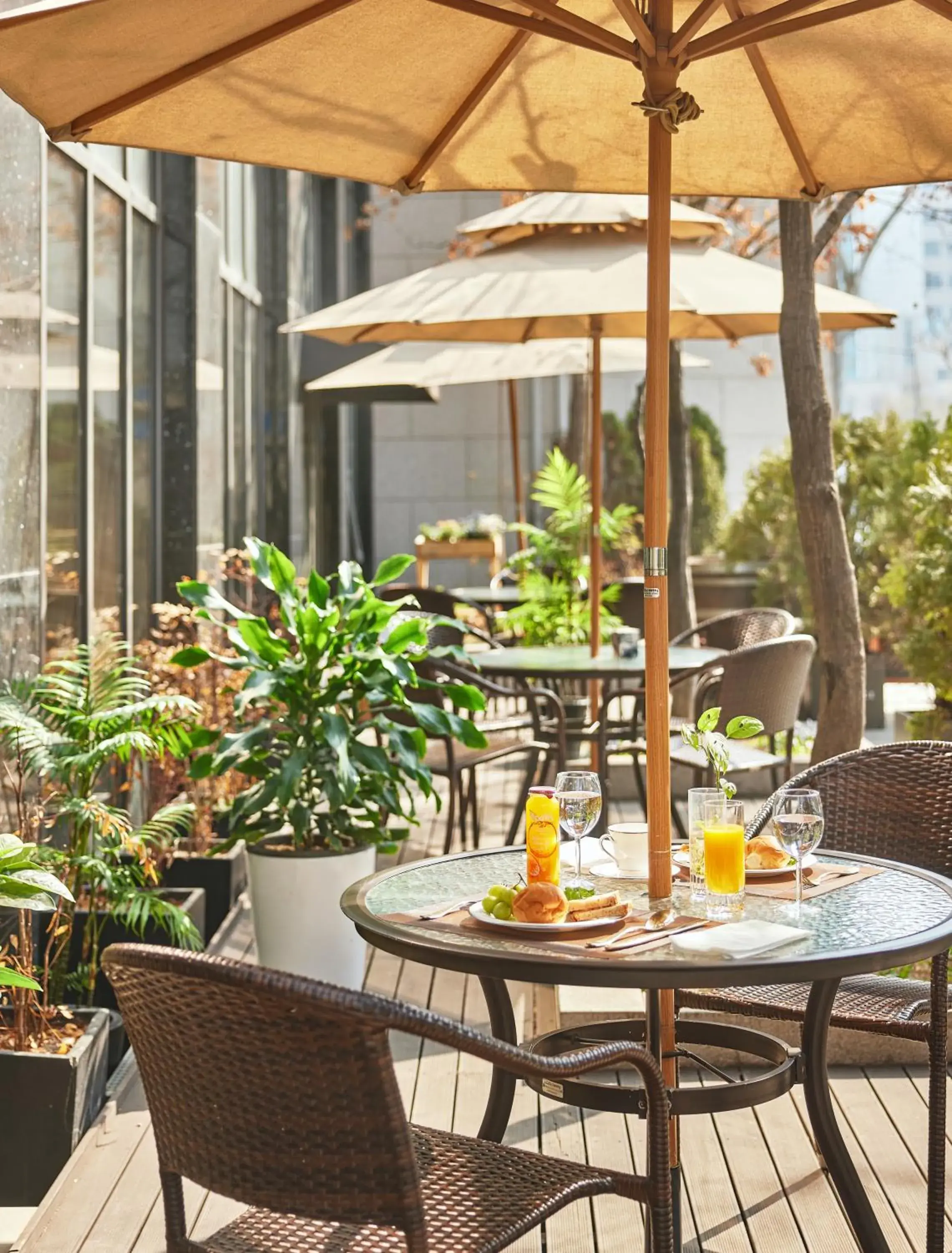 Breakfast in Mayplace Hotel Breakfast in Mayplace Hotel