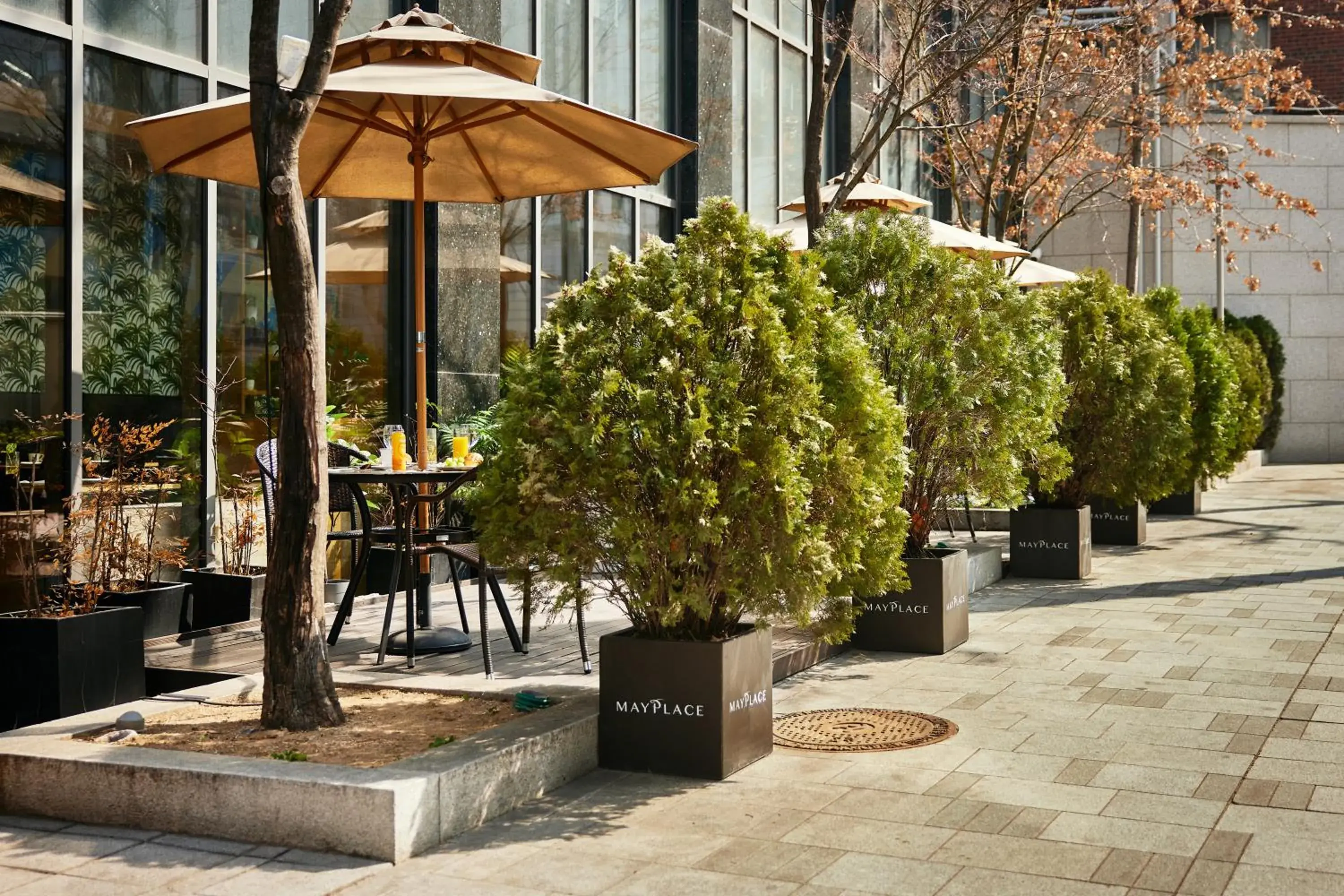 Restaurant/places to eat in Mayplace Hotel Restaurant/places to eat in Mayplace Hotel