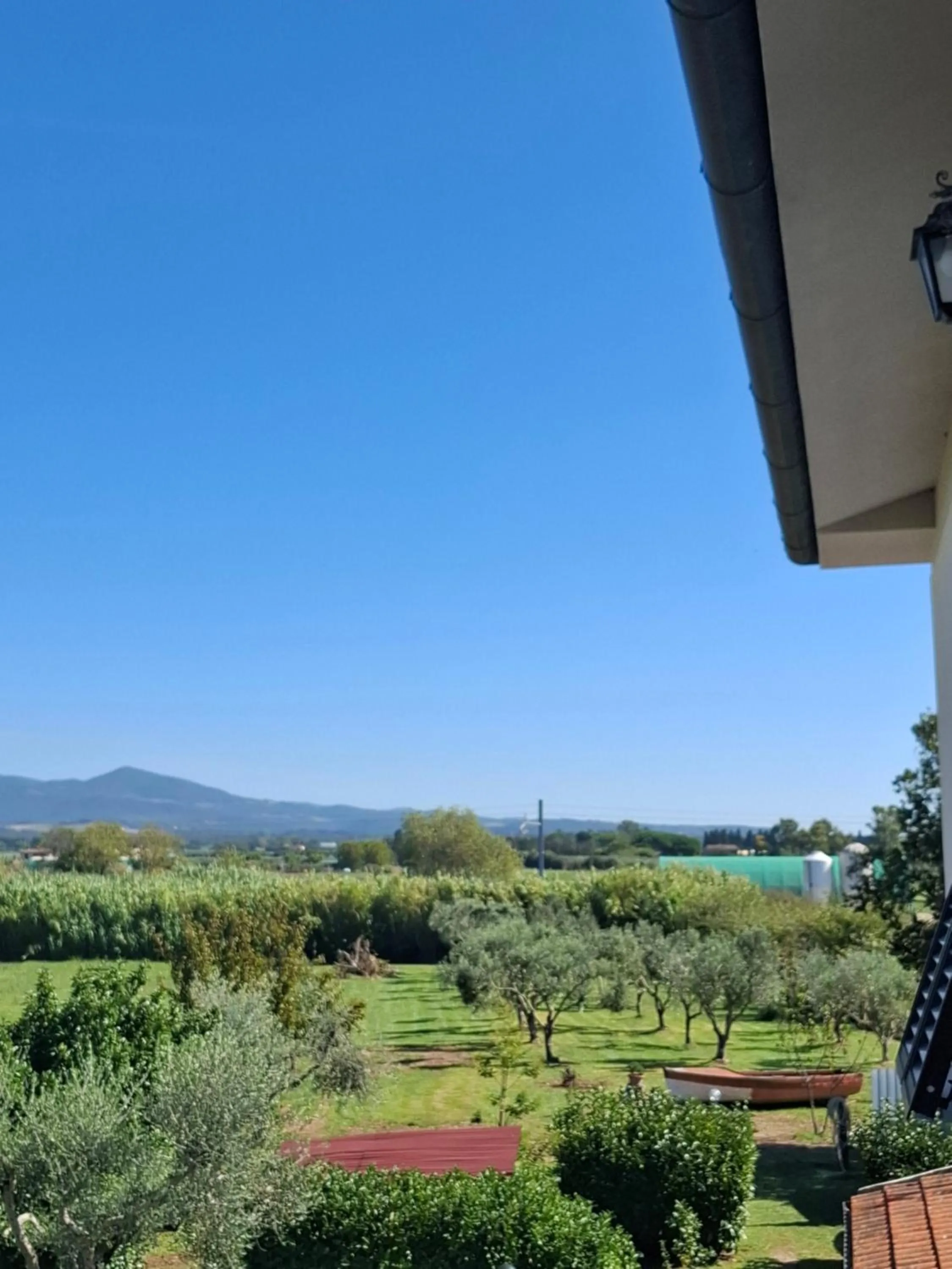 Casa vacanze Rosa Bianca a Vada