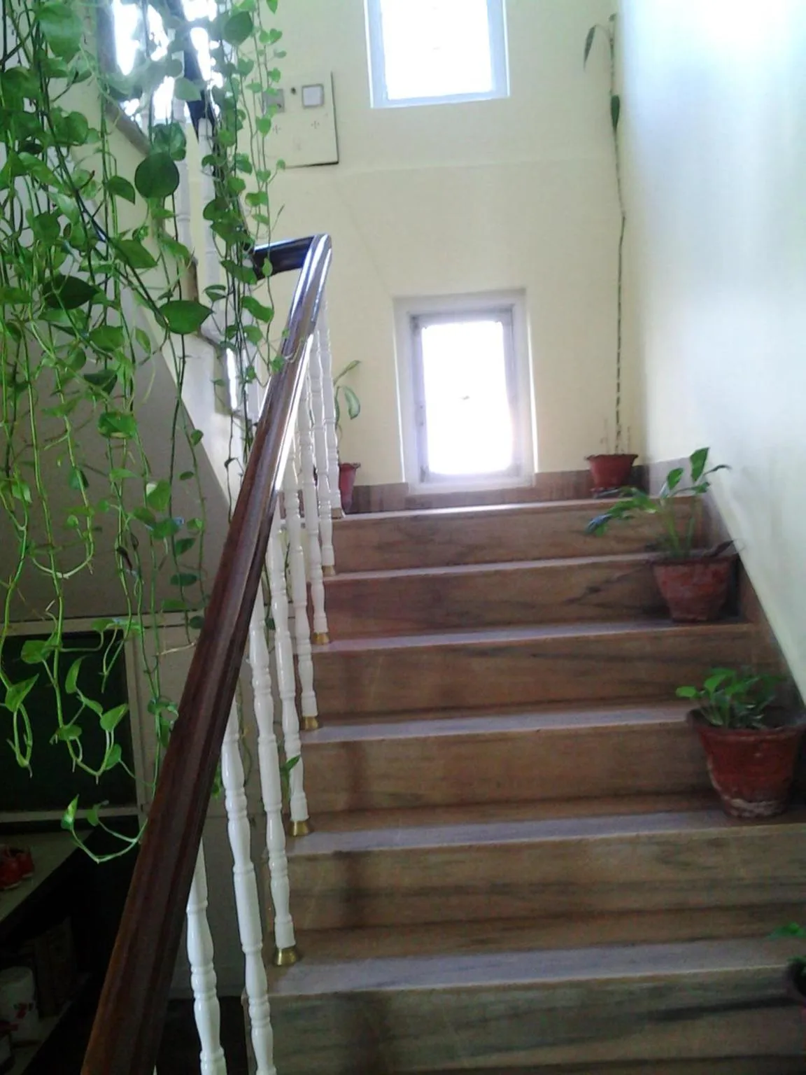 Other in New United Hotel