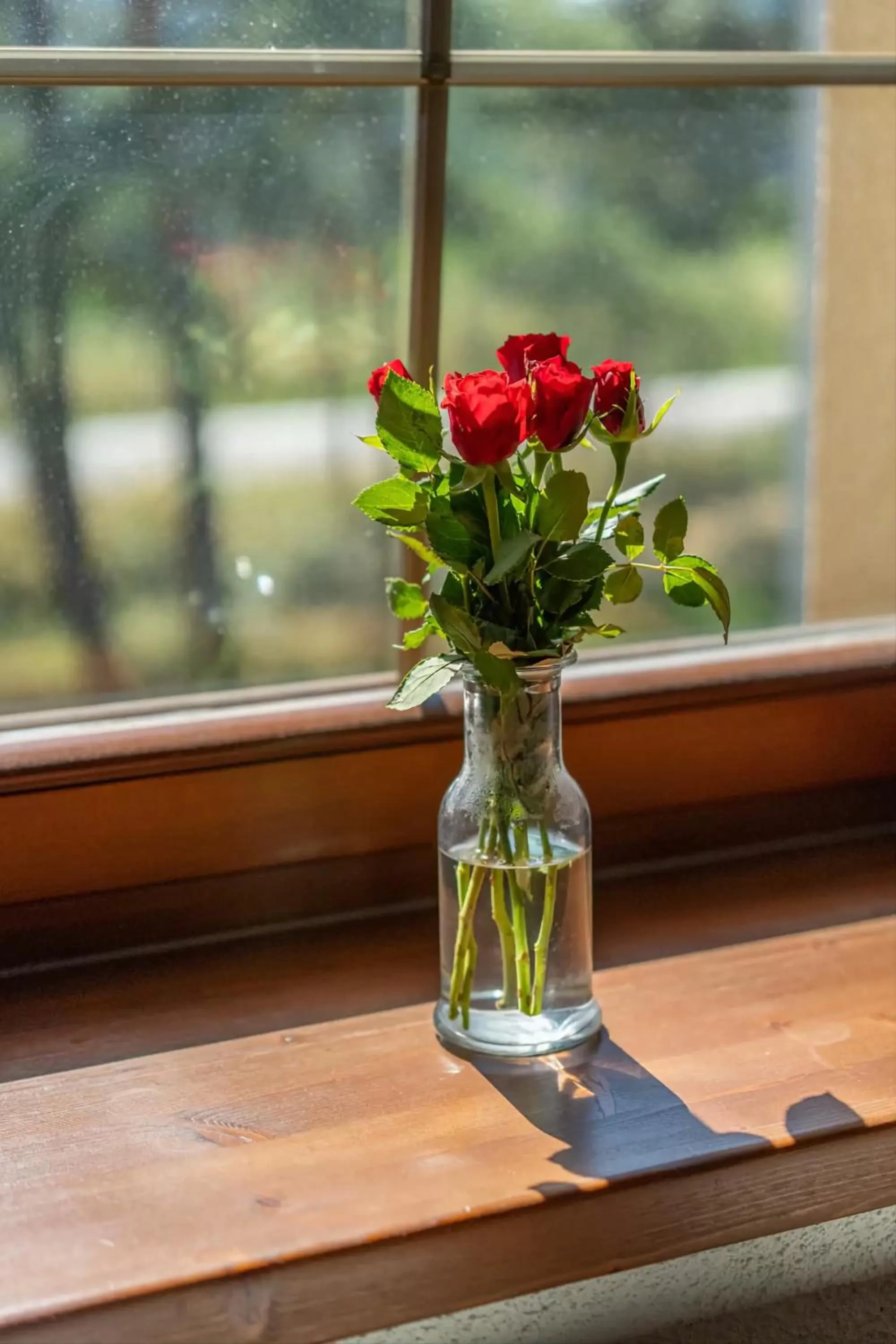 View (from property/room) in Wellness Penzion Life