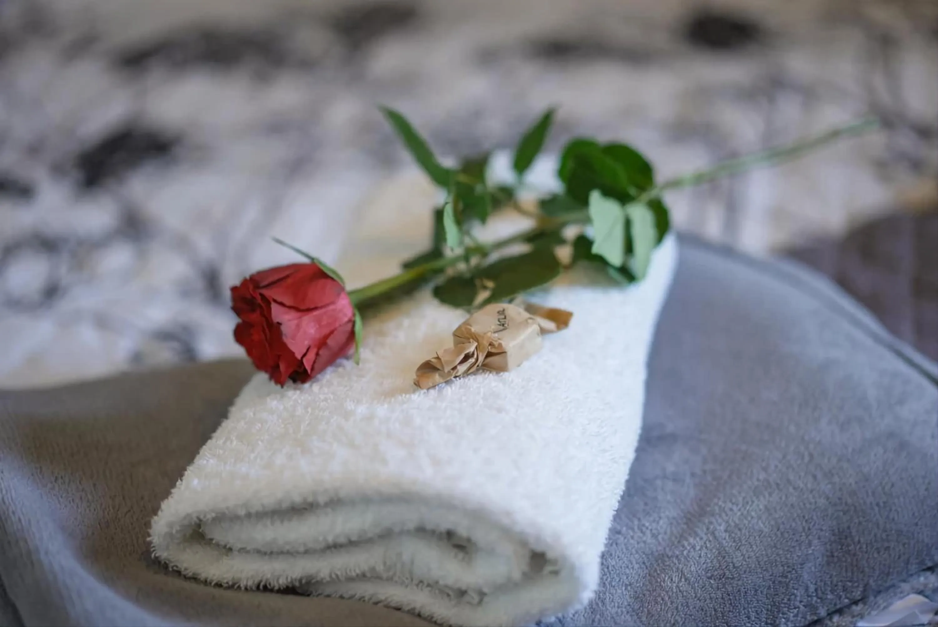 Food in Wellness Penzion Life