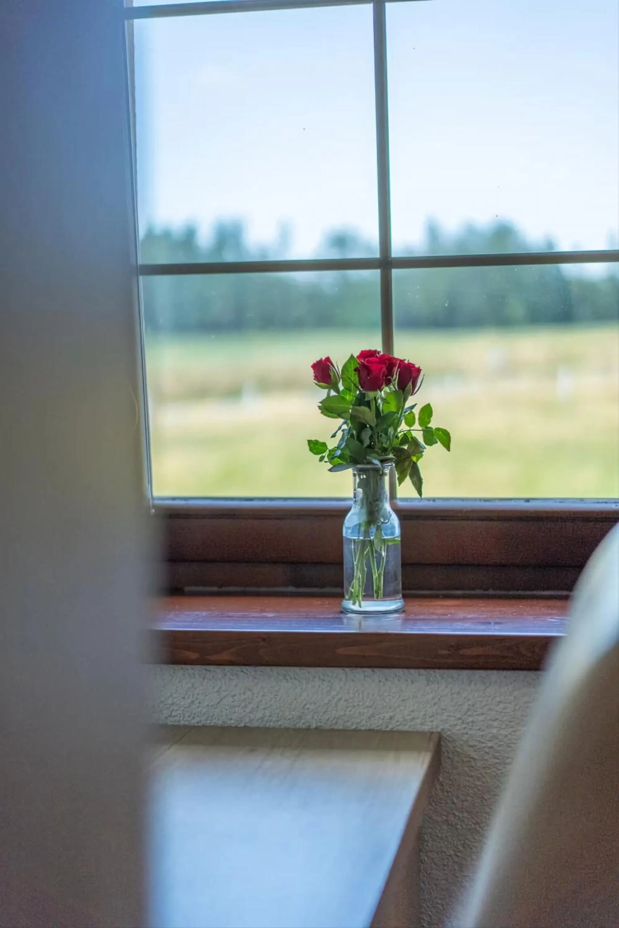 Seating area in Wellness Penzion Life