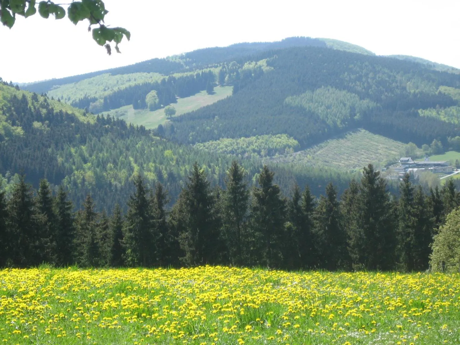 Natural landscape in Ferienwohnung Inge Steinrücken