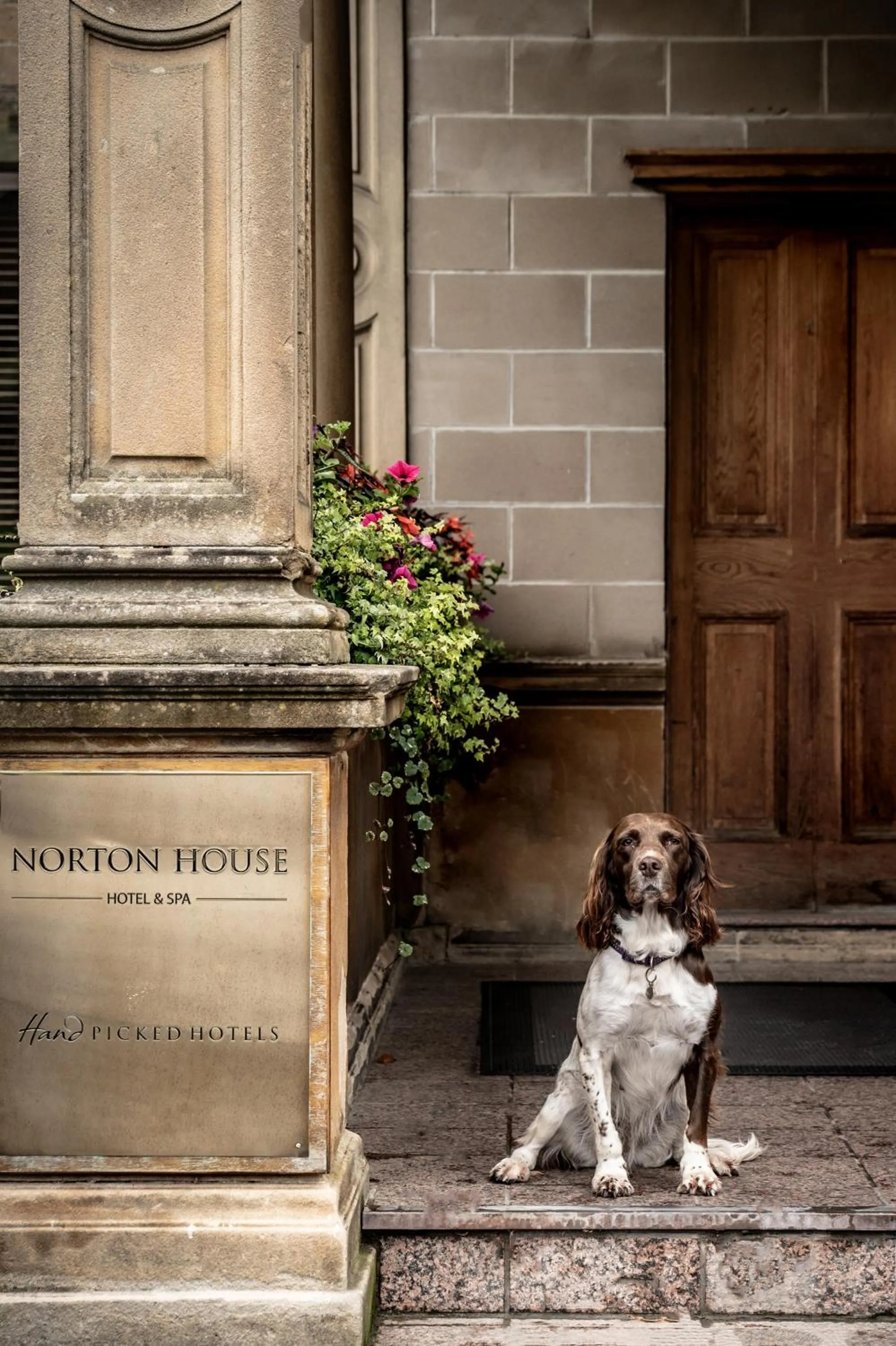 Animals in Norton House Hotel & Spa, Edinburgh