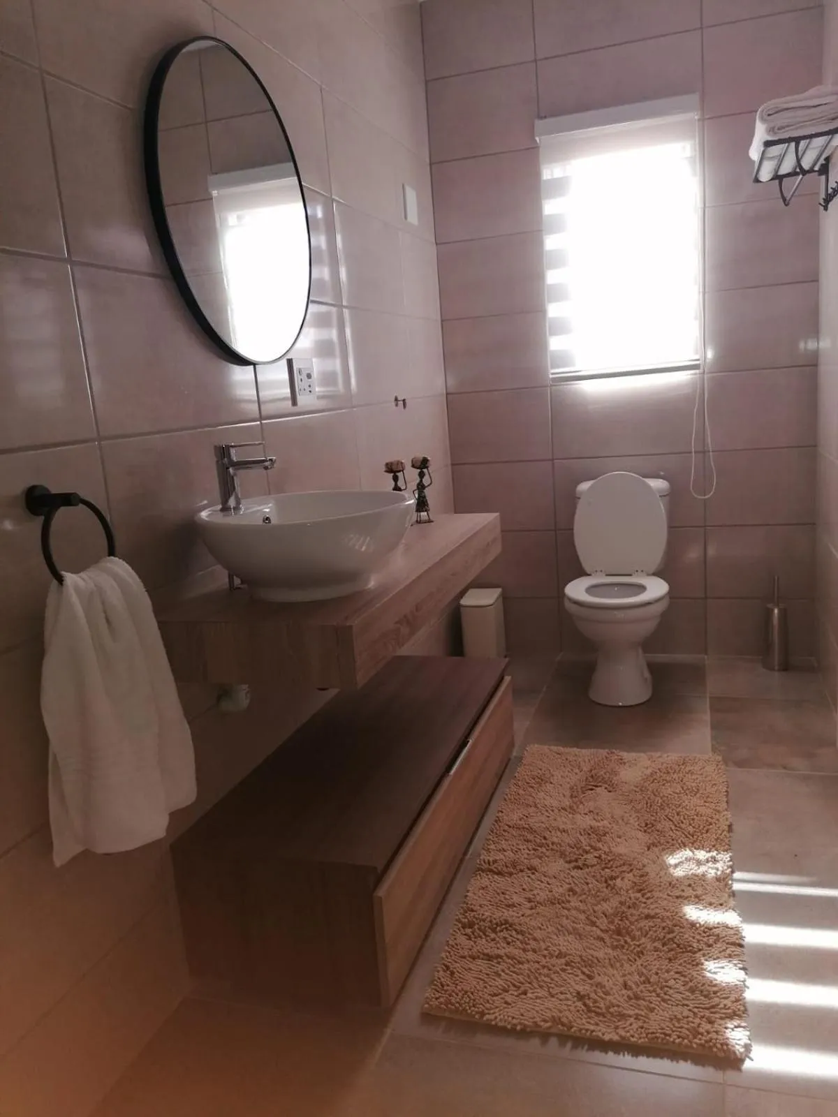 Toilet in Apollis Cottage