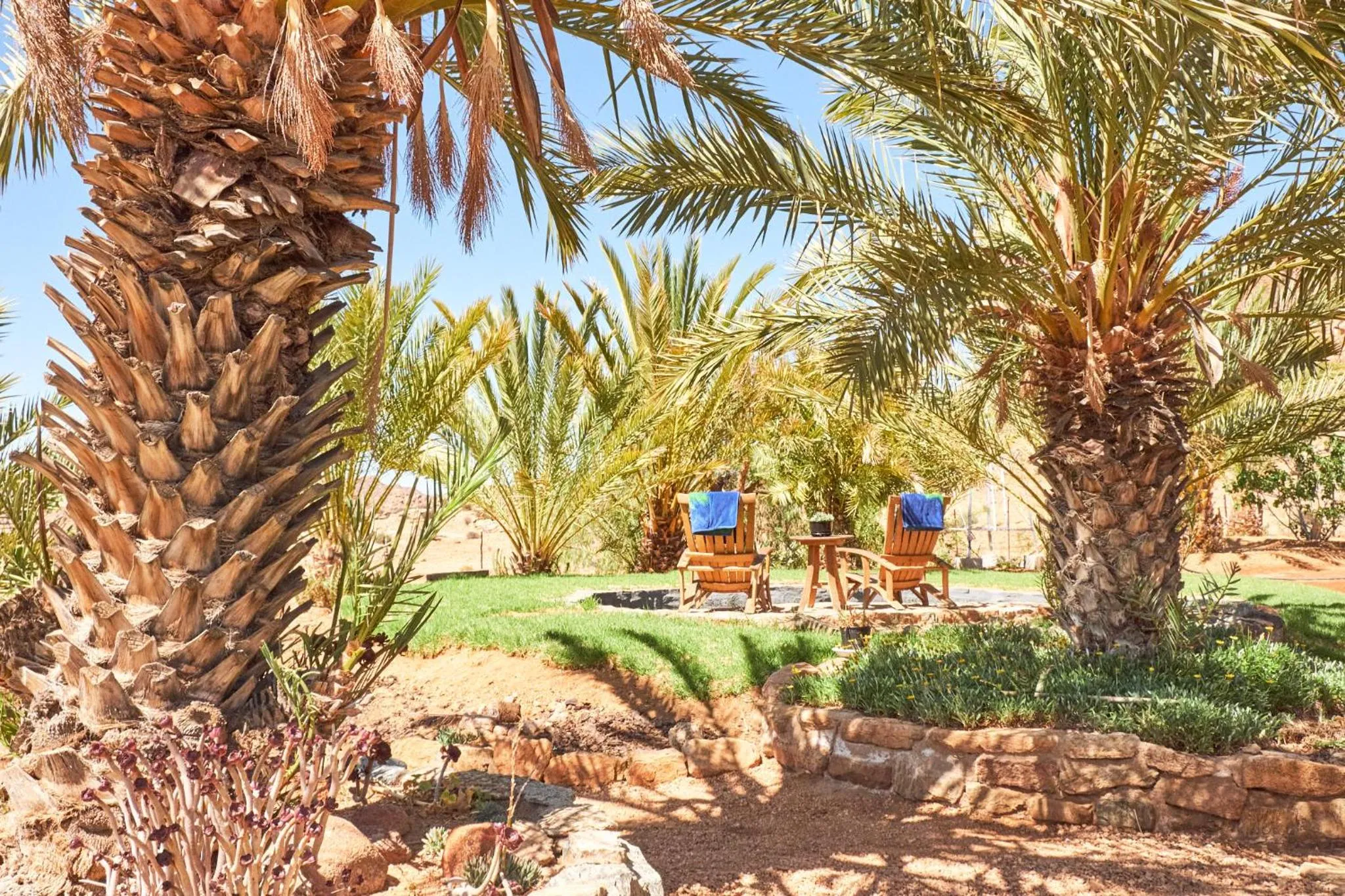 Garden in Apollis Cottage