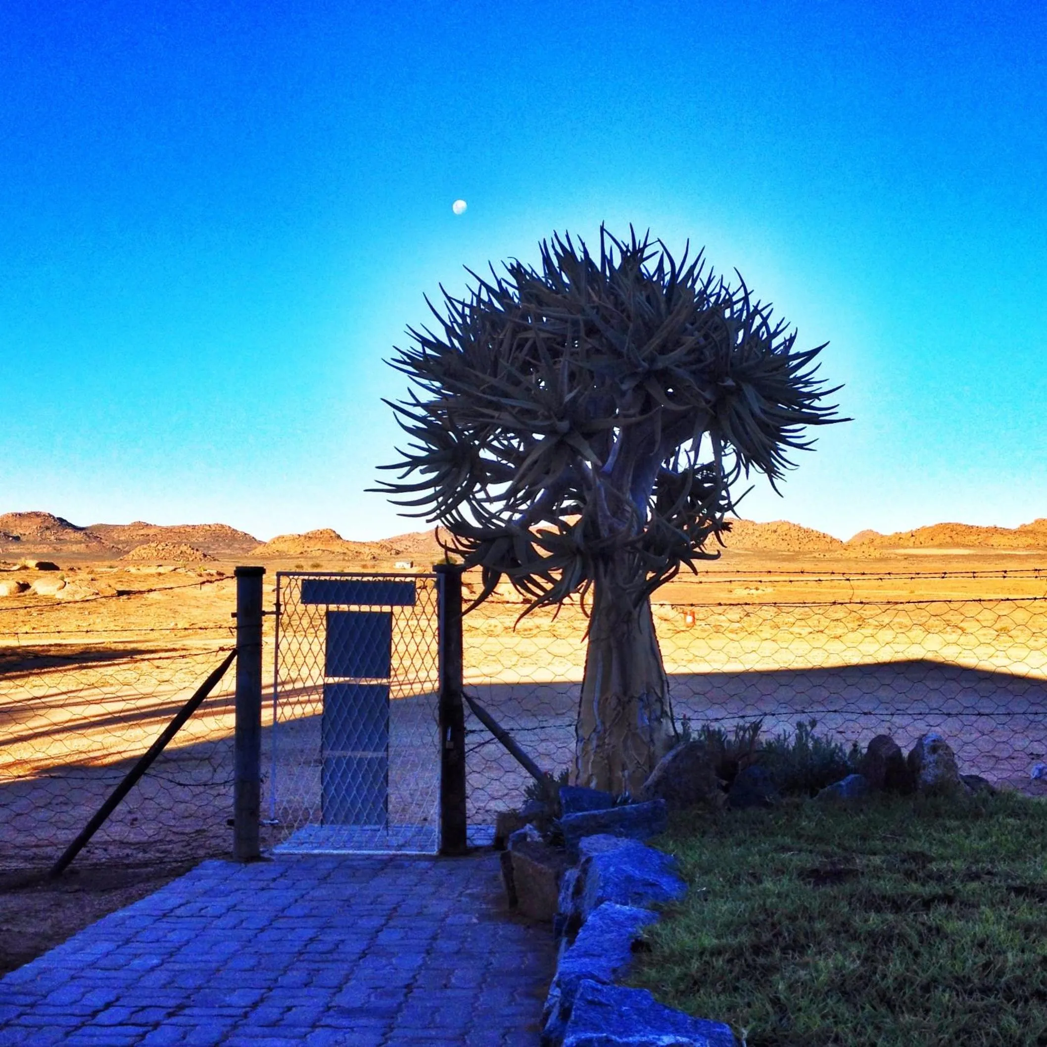 Sunrise in Apollis Cottage