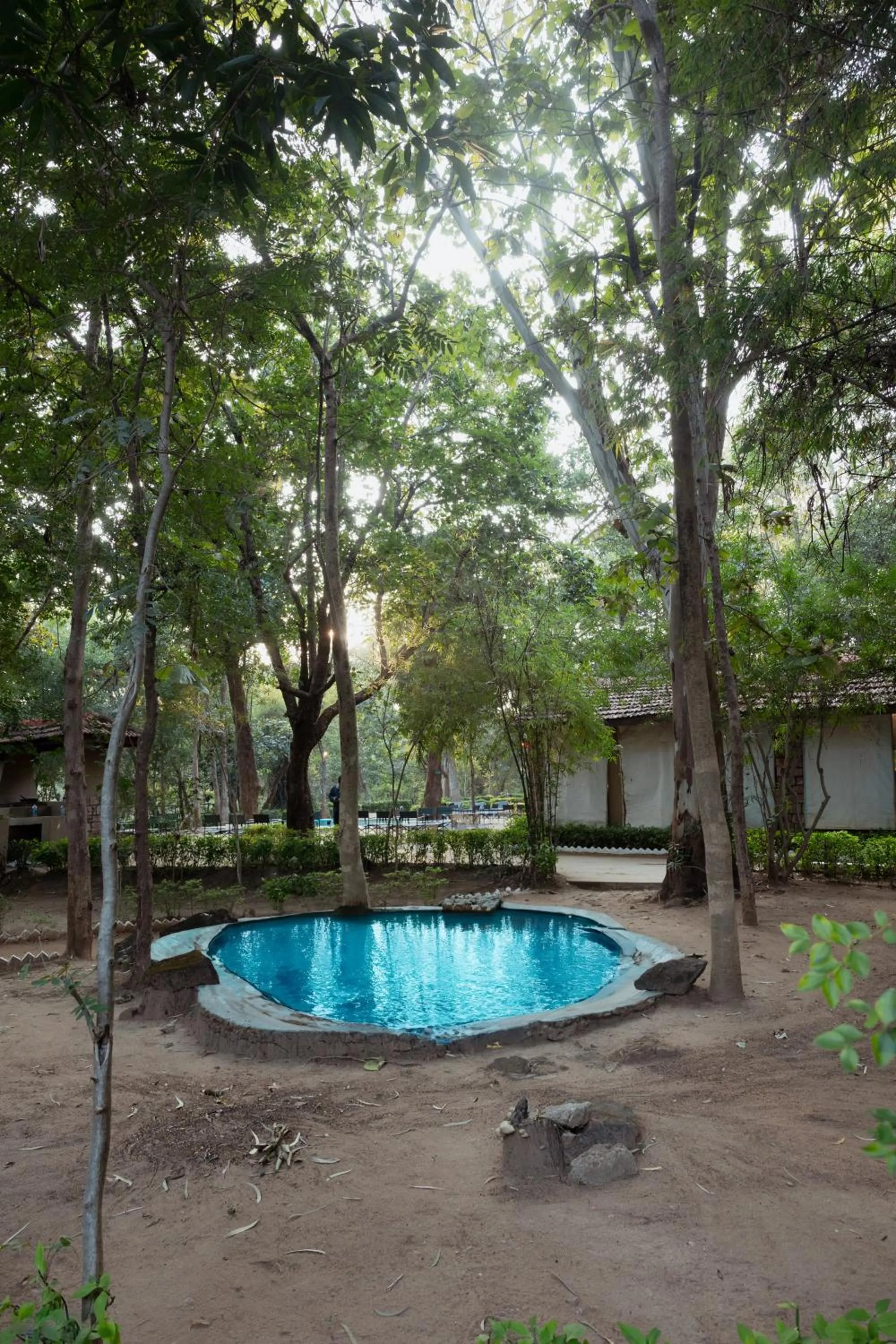 Garden view in Tiger Trails Resort