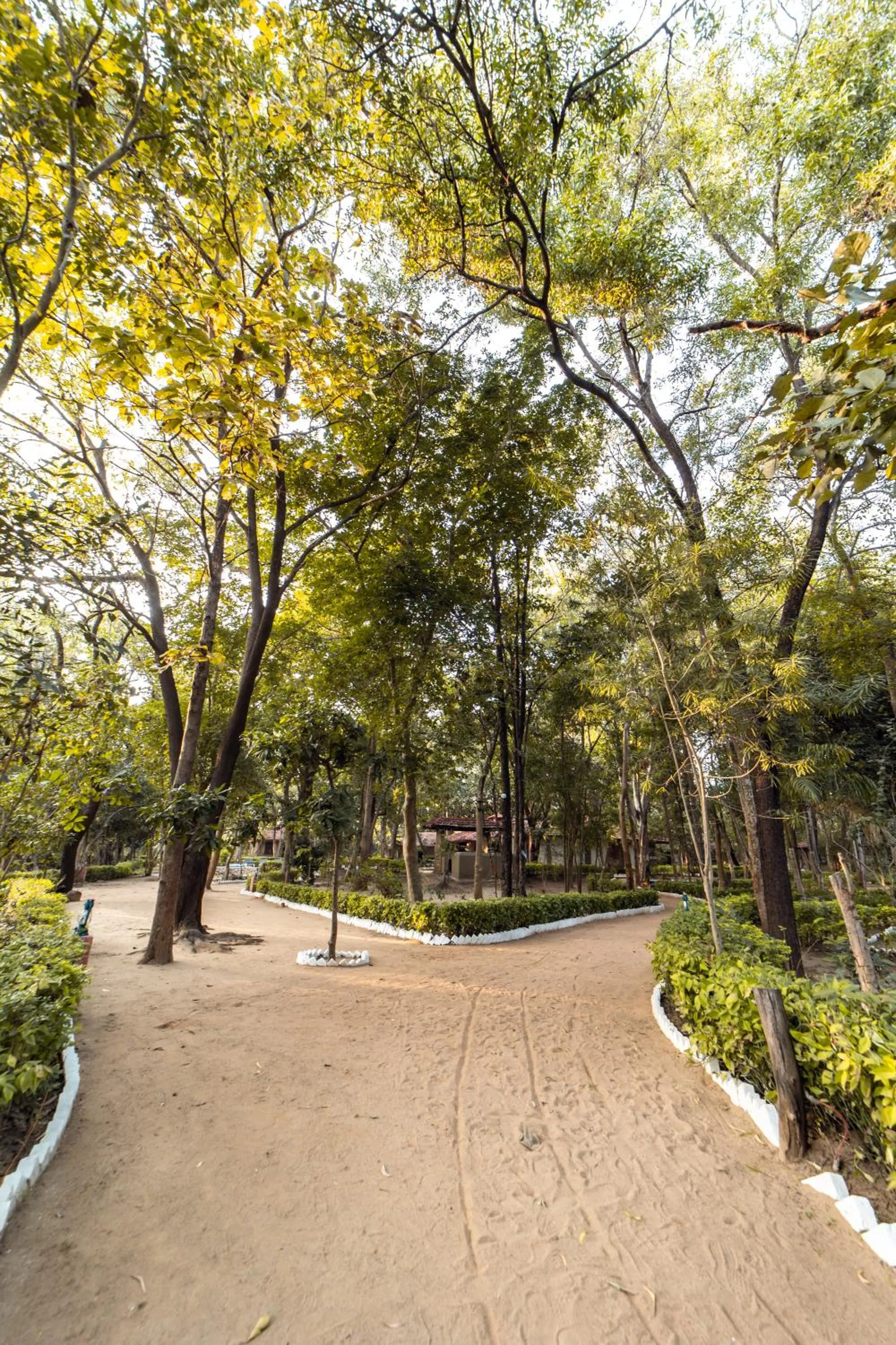 Natural landscape in Tiger Trails Resort