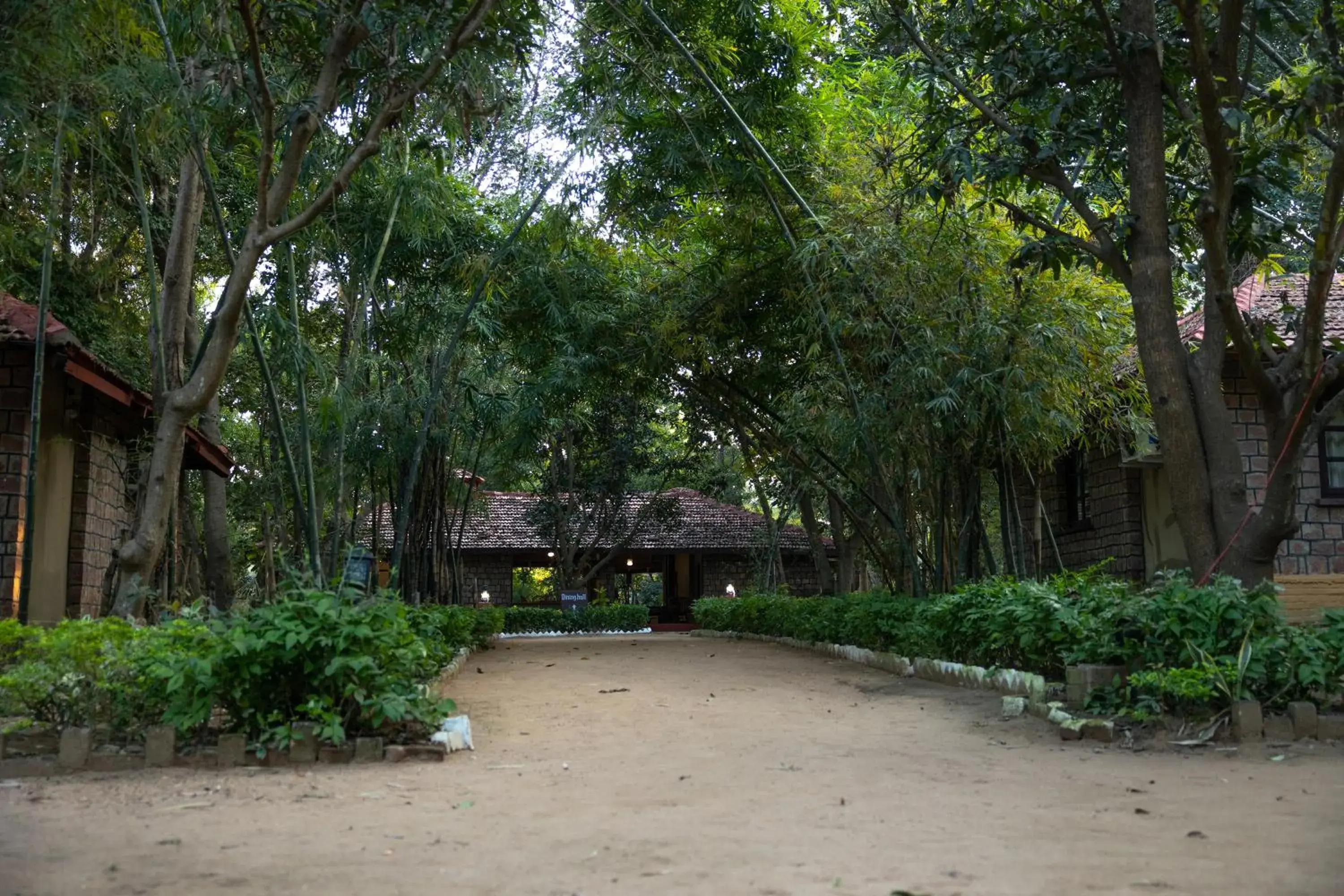 Garden view in Tiger Trails Resort Garden view in Tiger Trails Resort