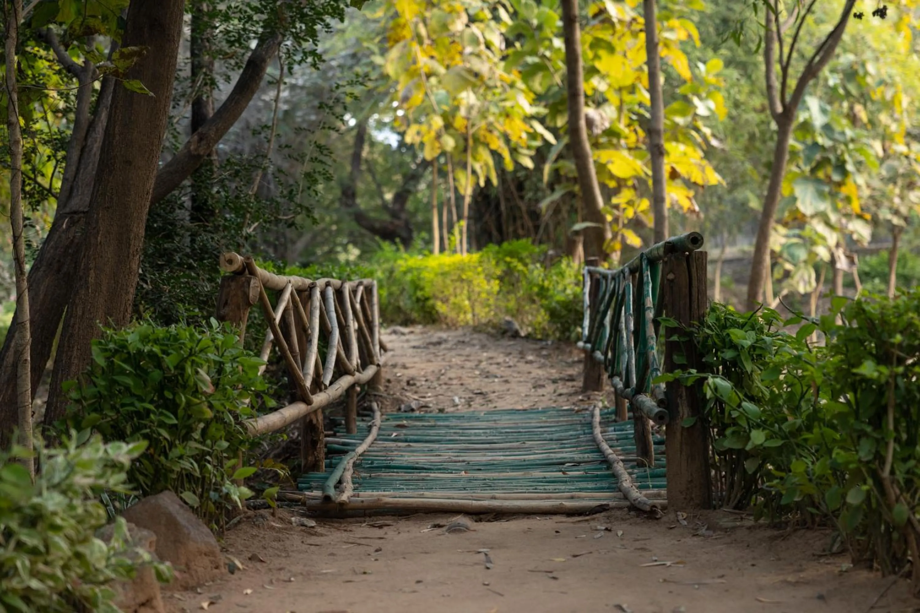 Natural landscape in Tiger Trails Resort