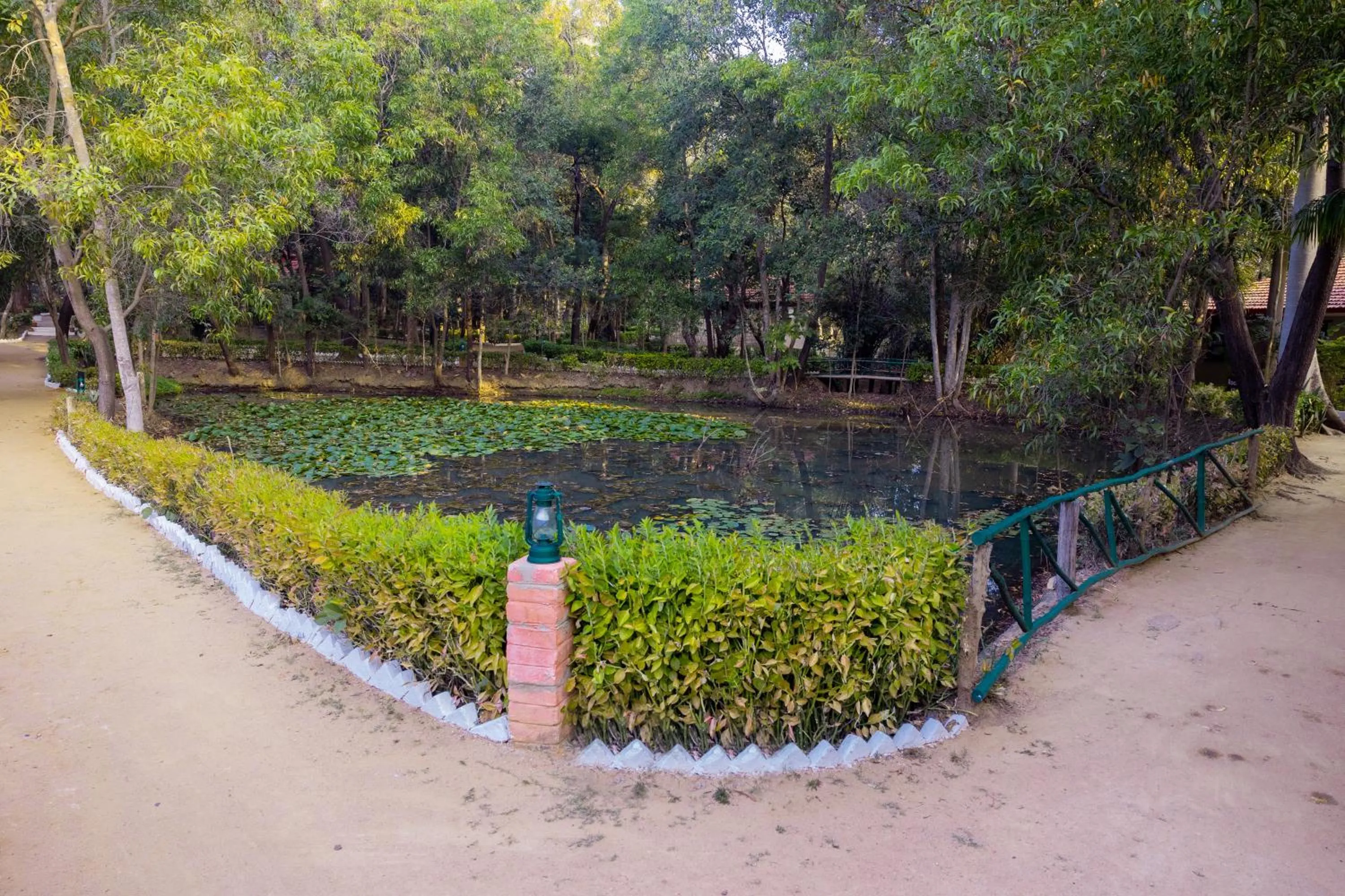 Spring in Tiger Trails Resort