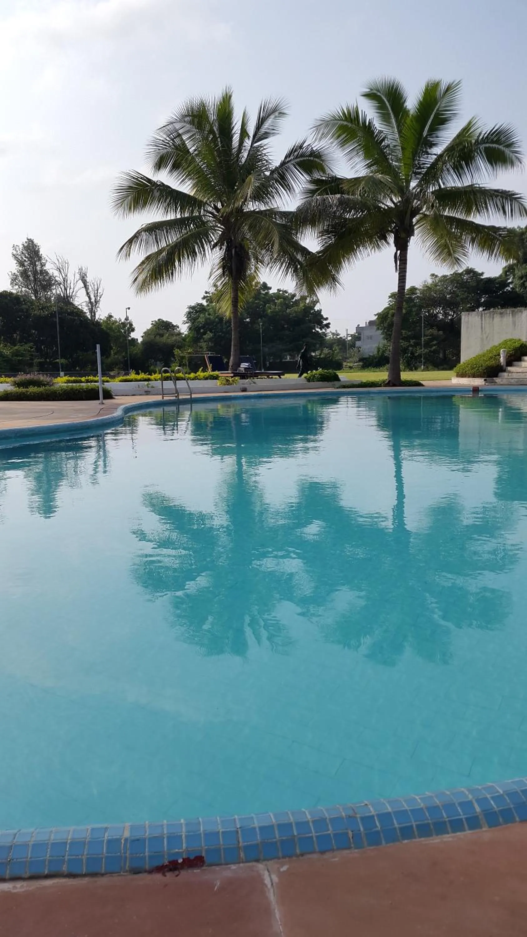 Pool view in The Meadows Resort and Spa