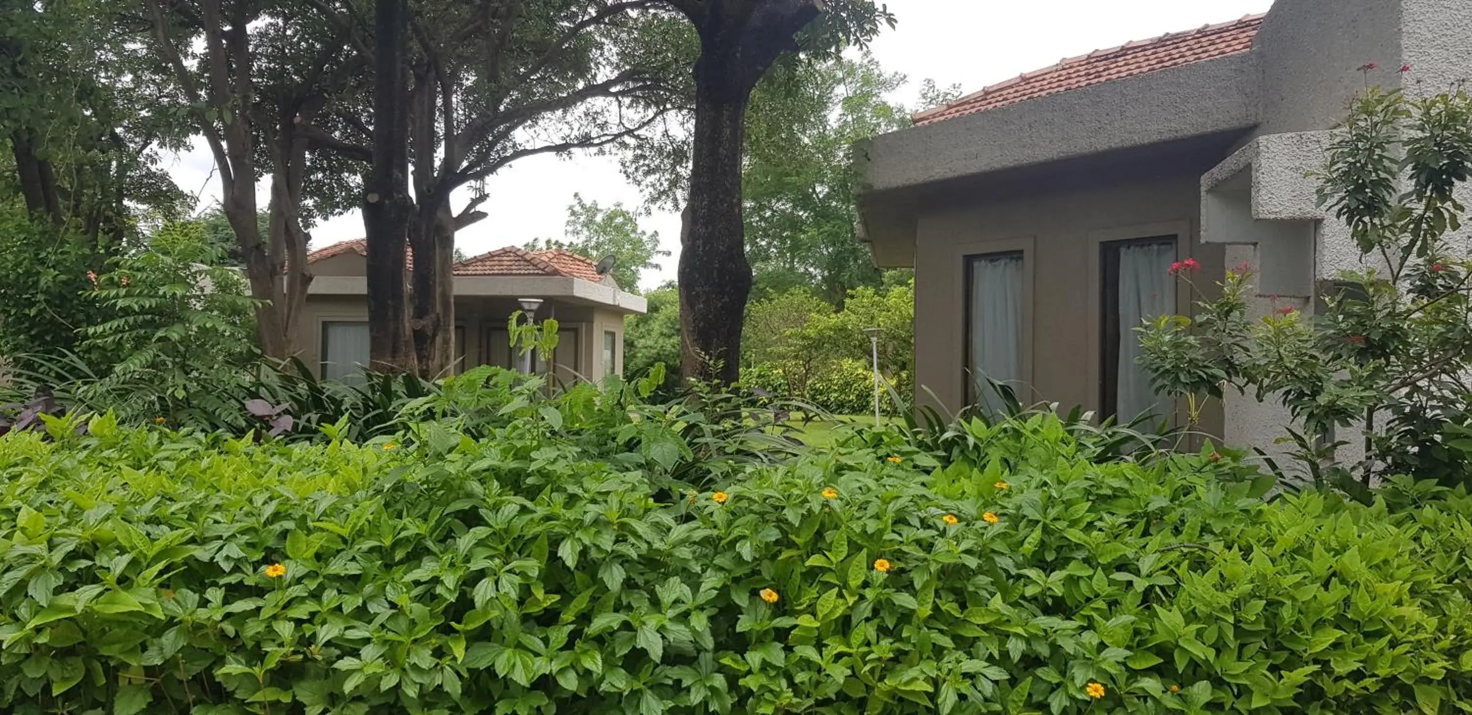 Property building in The Meadows Resort and Spa Property building in The Meadows Resort and Spa