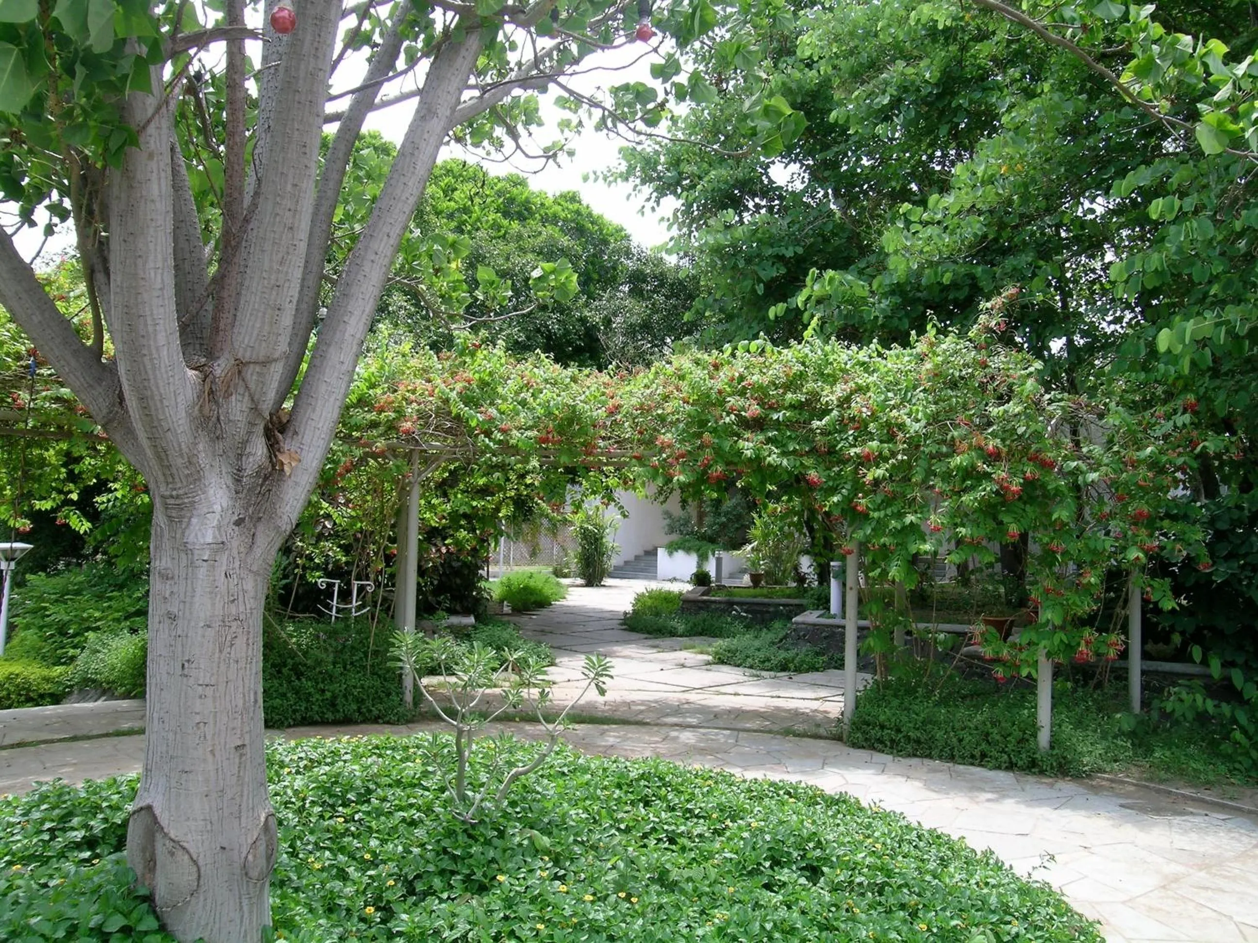 Garden in The Meadows Resort and Spa