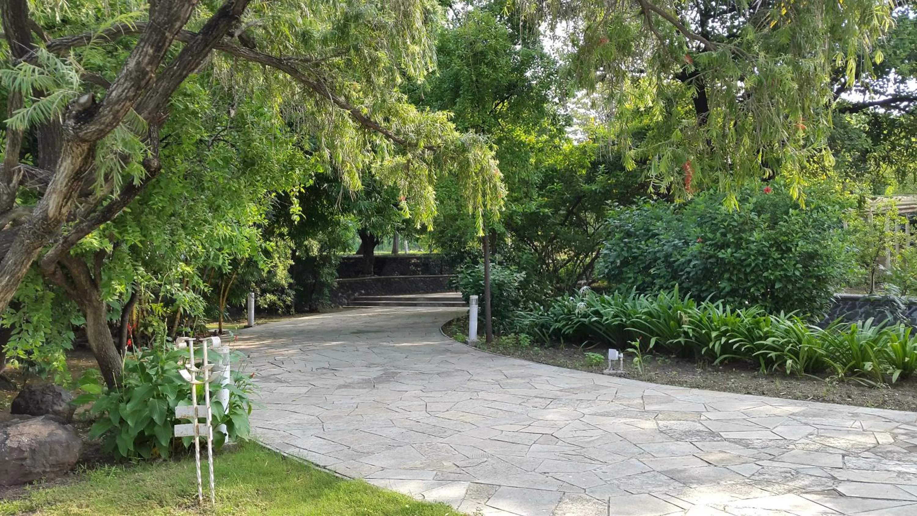 Garden in The Meadows Resort and Spa