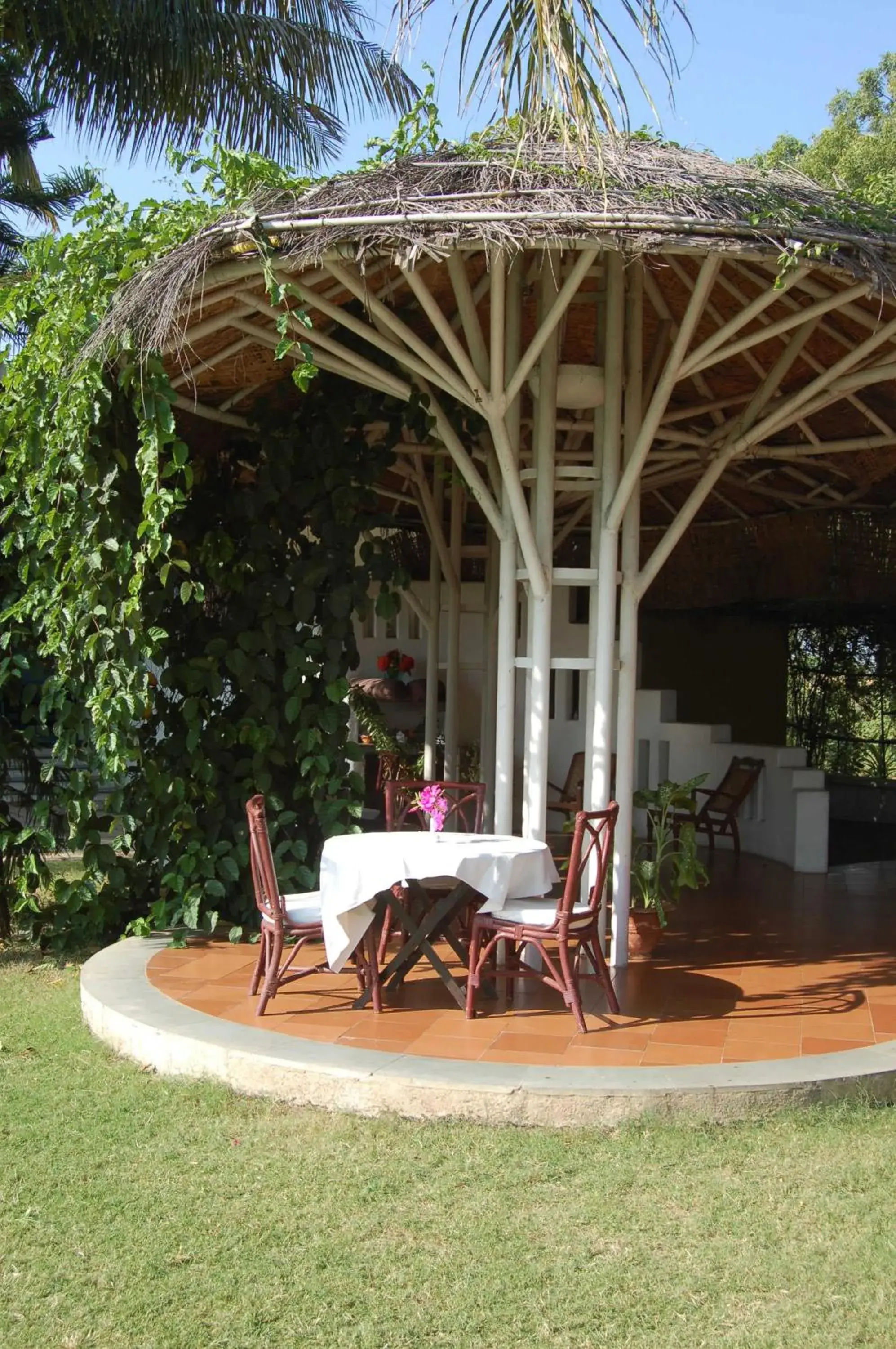 Restaurant/places to eat in The Meadows Resort and Spa Restaurant/places to eat in The Meadows Resort and Spa