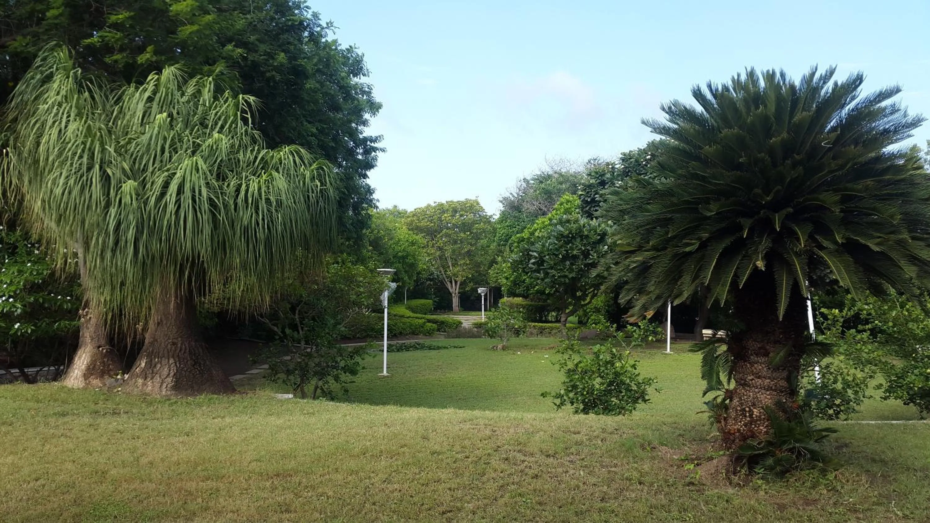 Day in The Meadows Resort and Spa