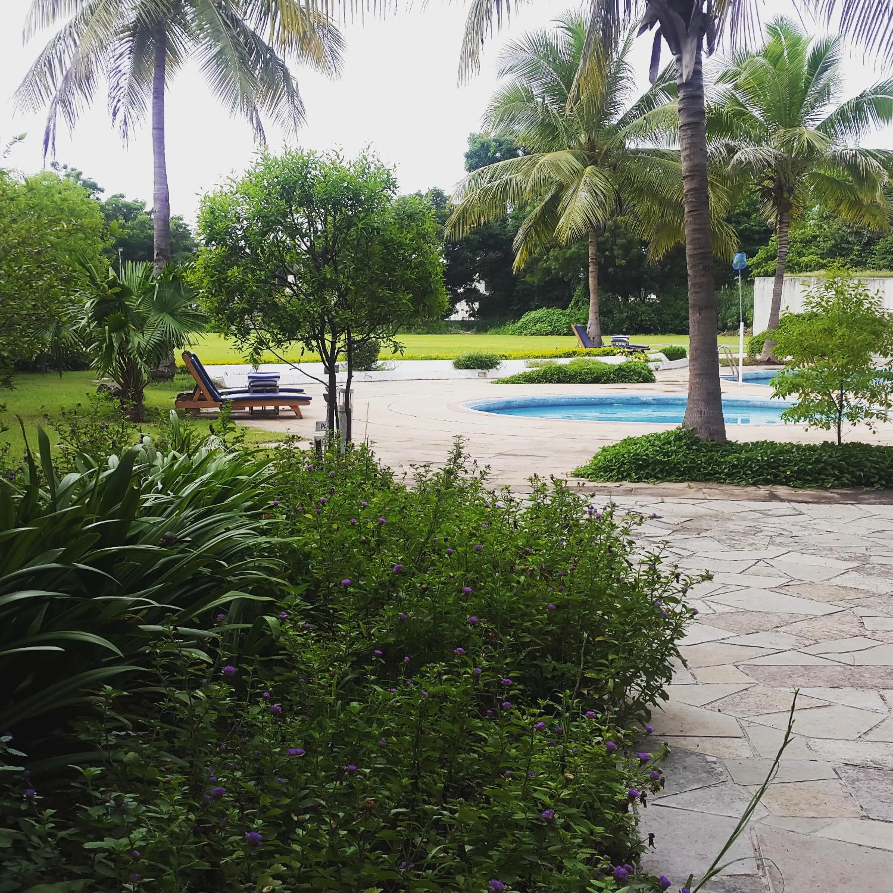 Swimming pool in The Meadows Resort and Spa