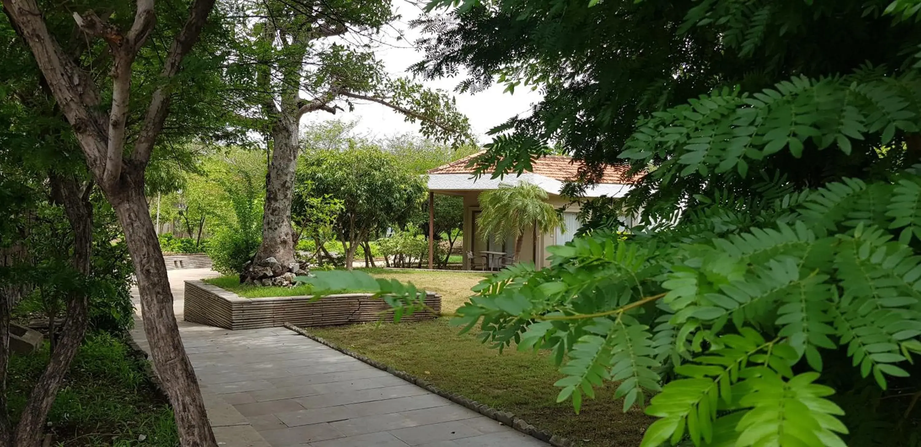 Property building in The Meadows Resort and Spa Property building in The Meadows Resort and Spa