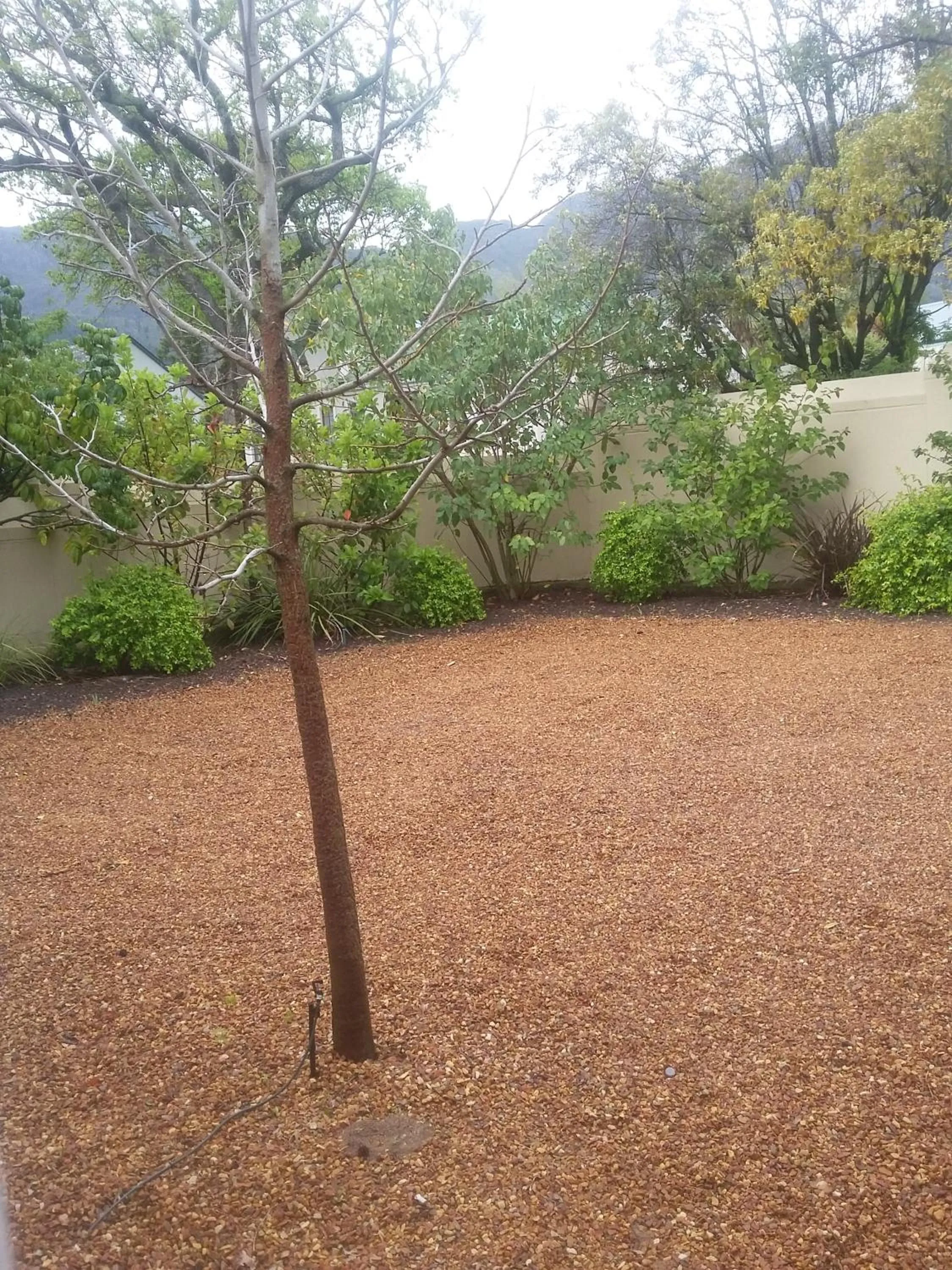 Area and facilities in Auberge Daniella