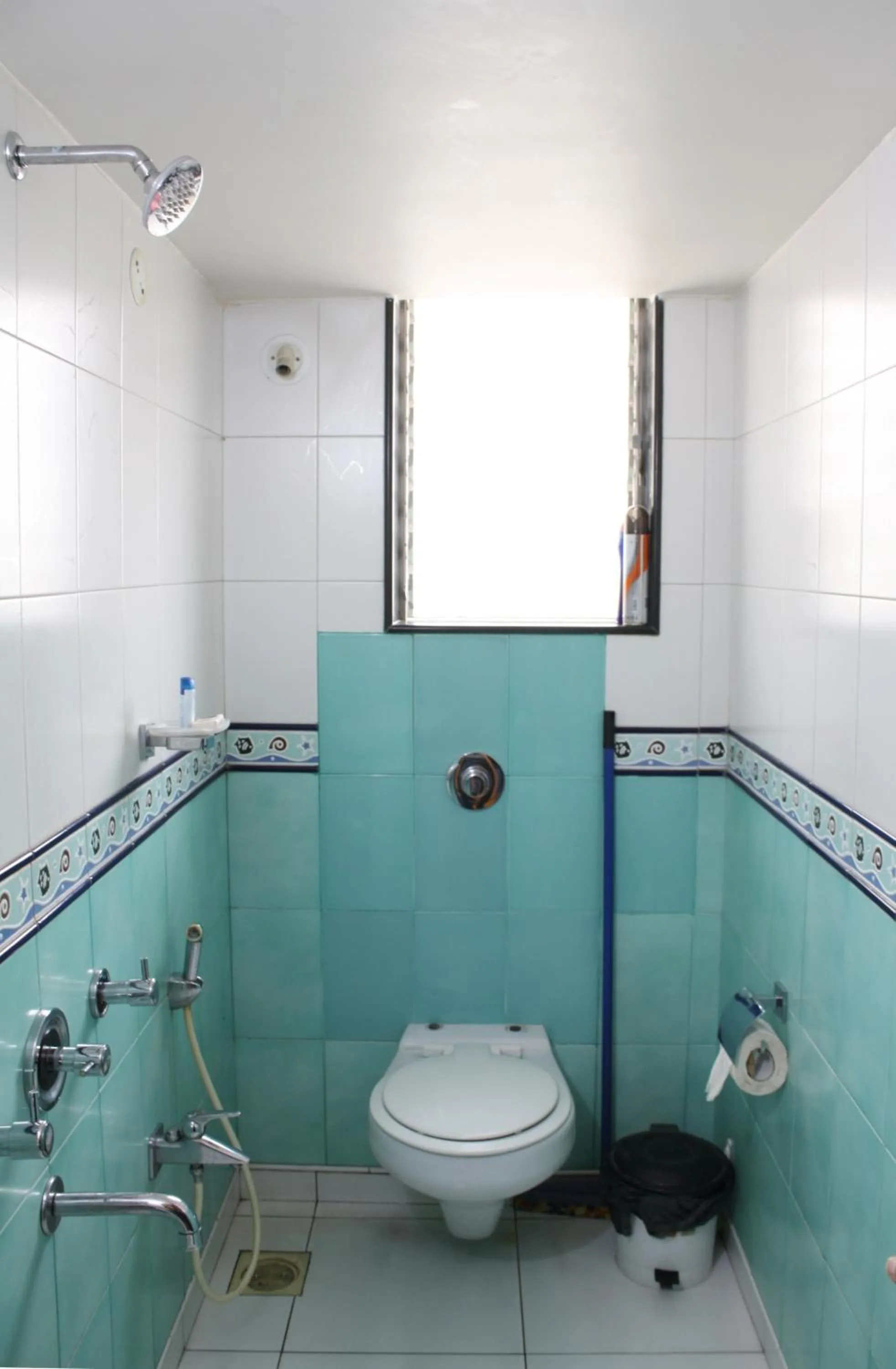 Shower in Apartment In Mumbai City Centre