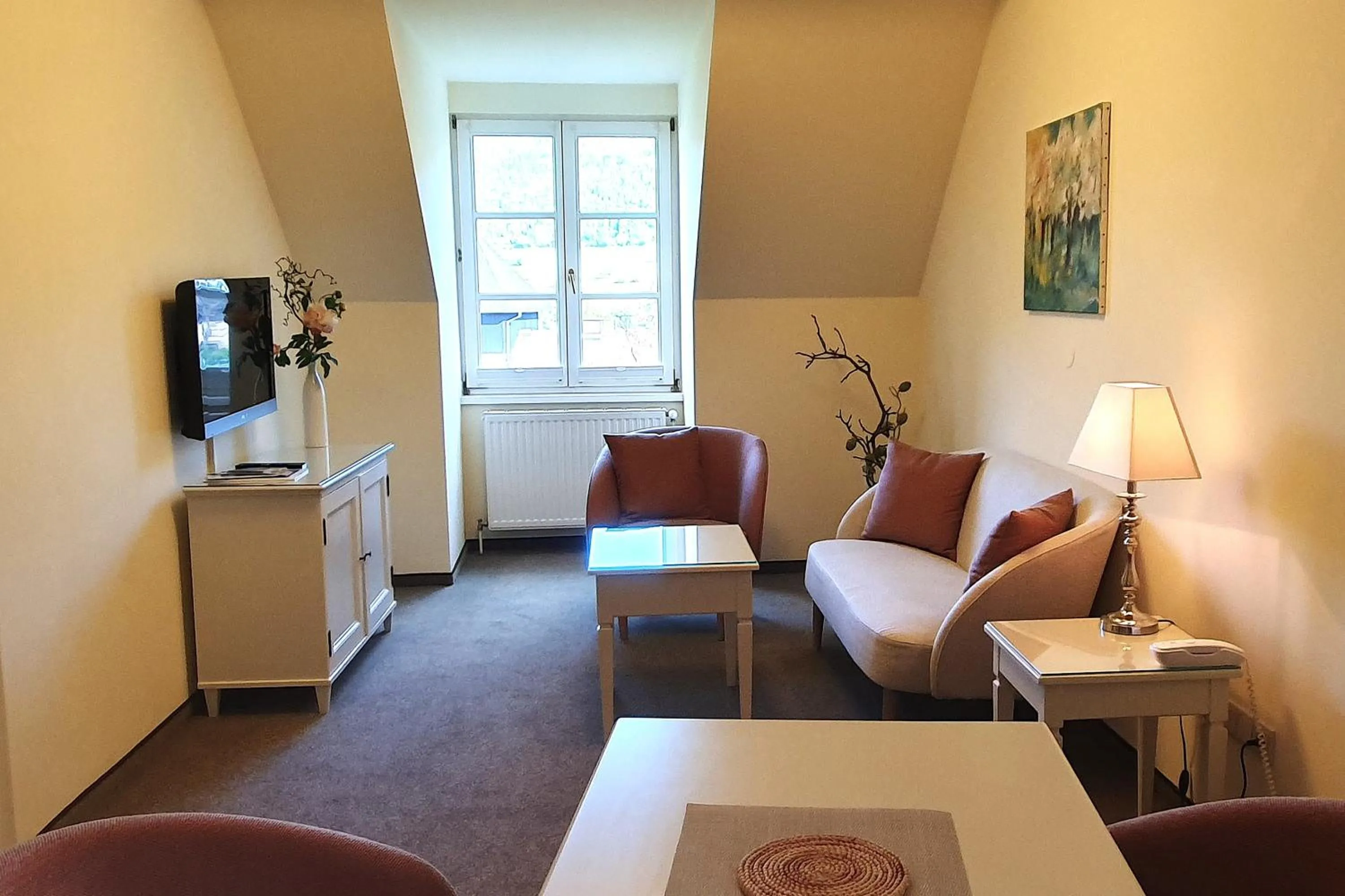 TV and multimedia in Barock-Landhof Burkhardt