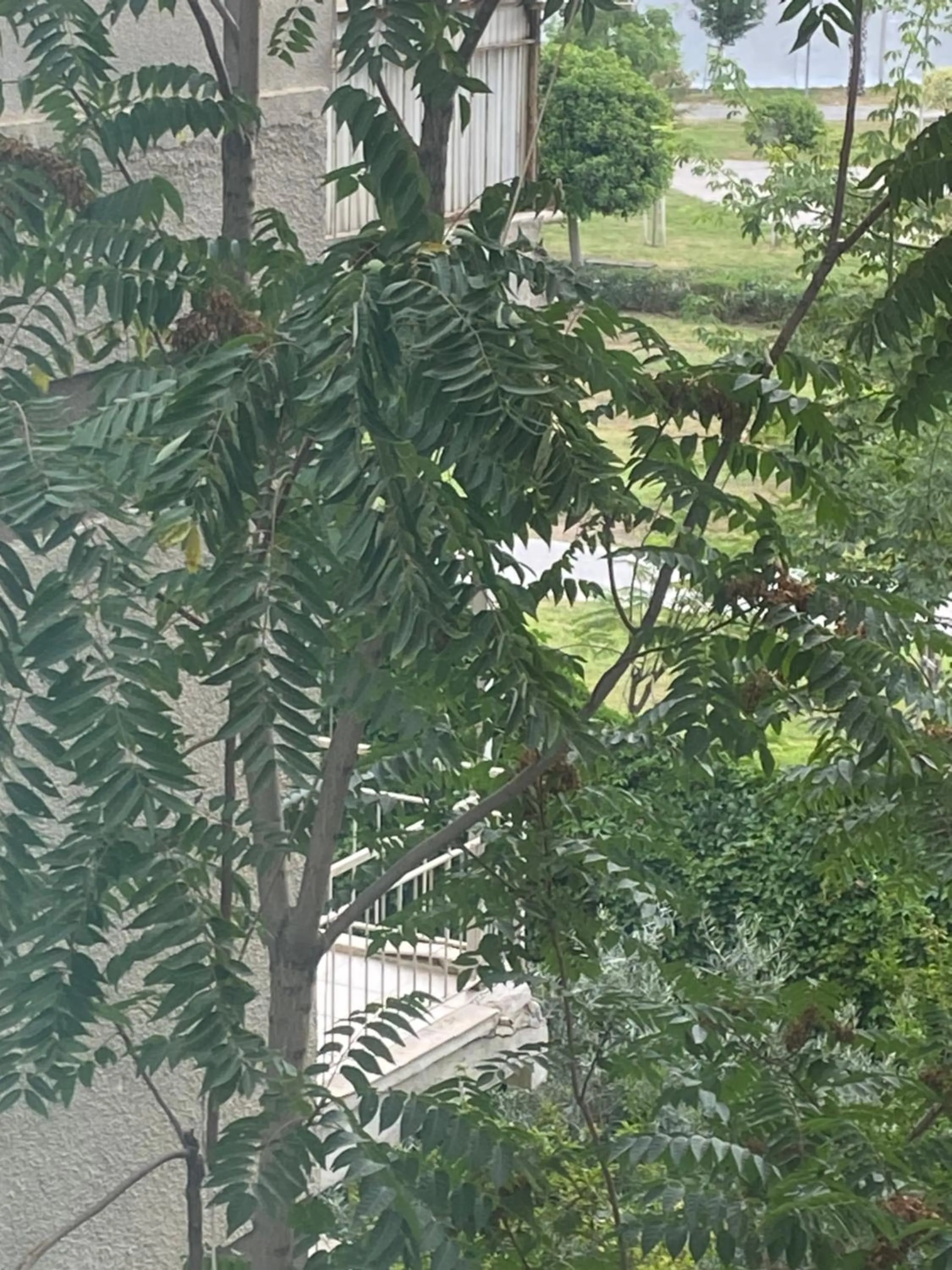 Property building in İn The Middle Hotel