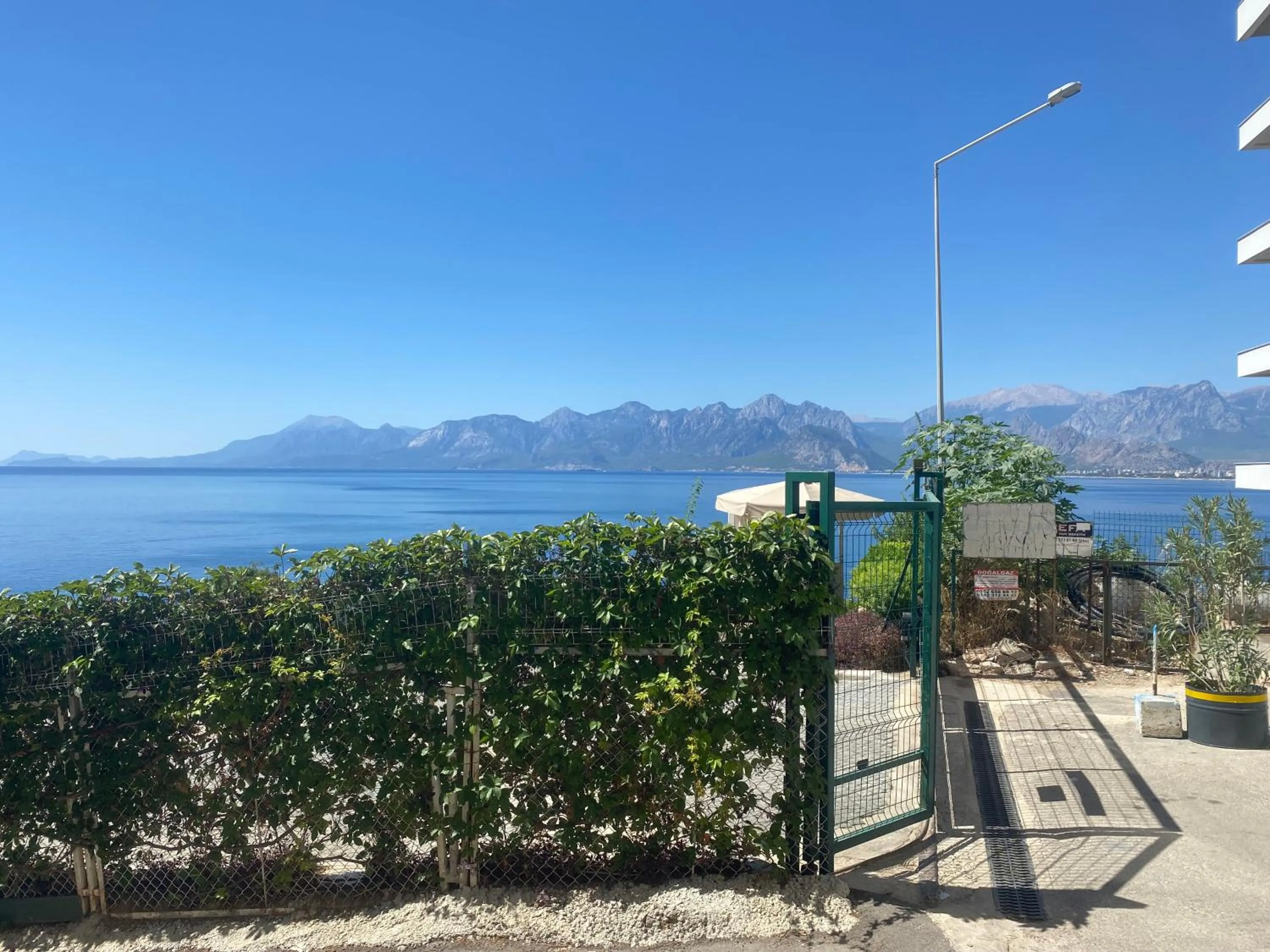 Spring in İn The Middle Hotel