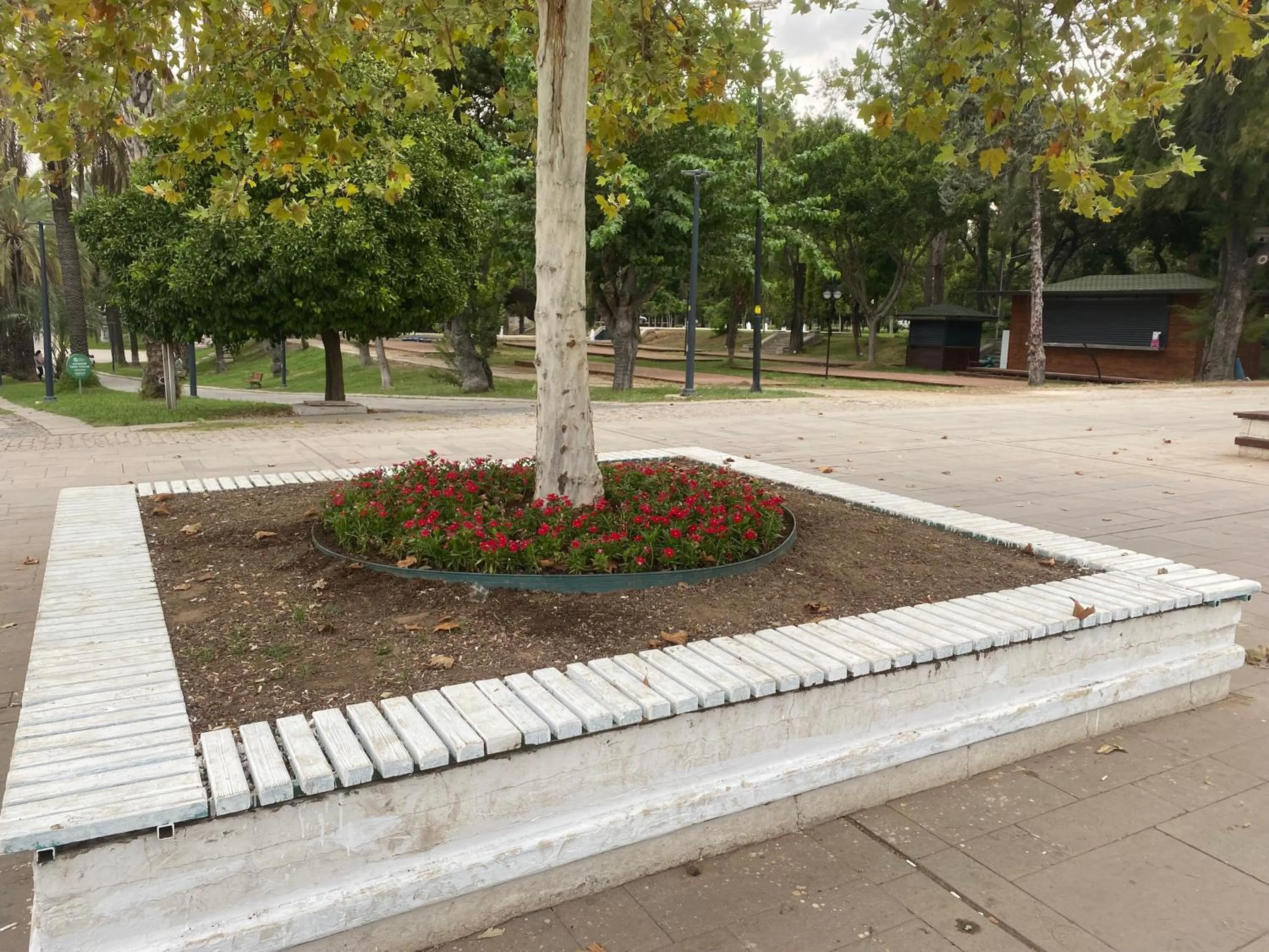 Spring in İn The Middle Hotel