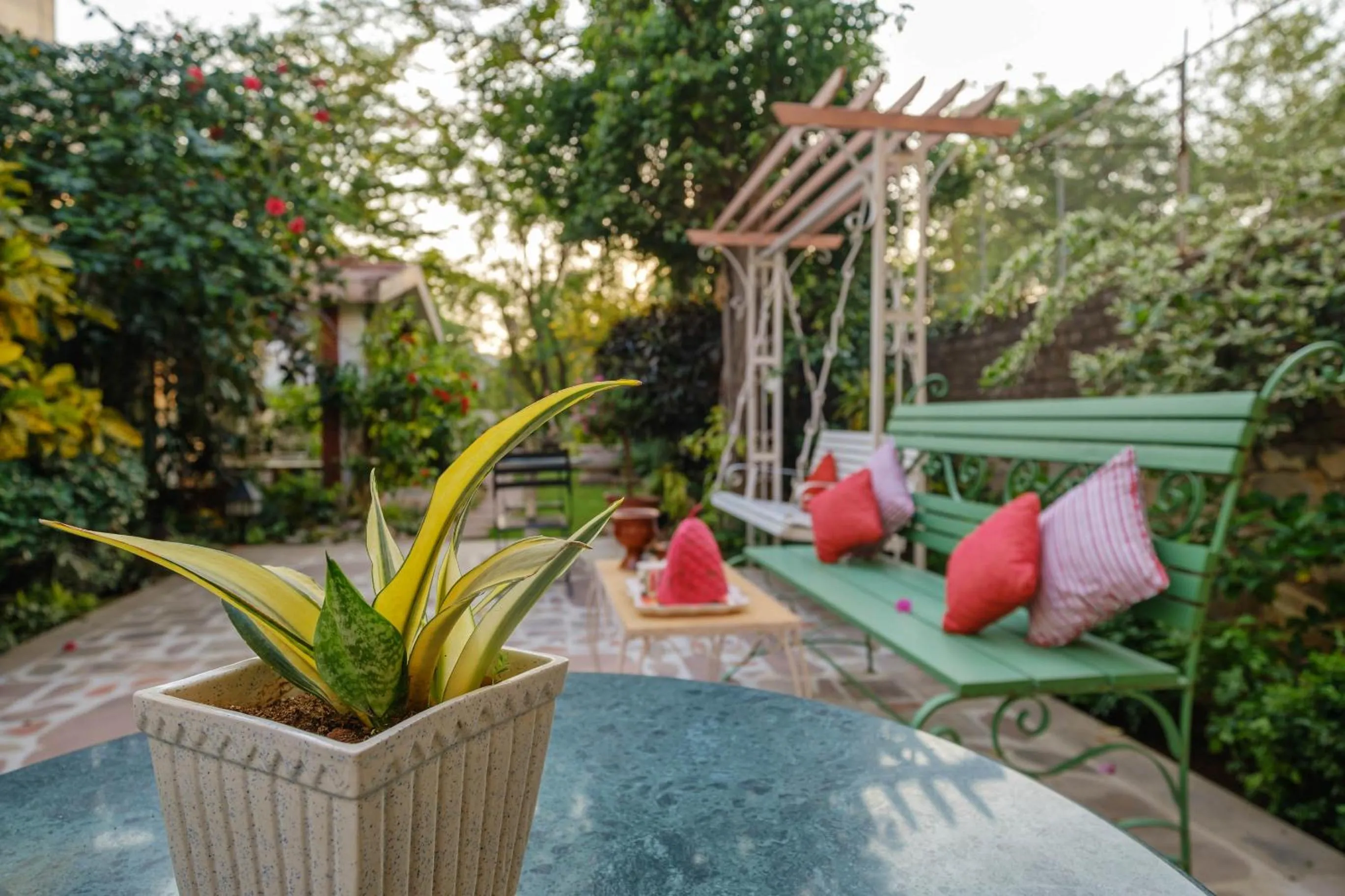 Day in Shree Nikunj - A Luxury Boutique Homestay in Jaipur