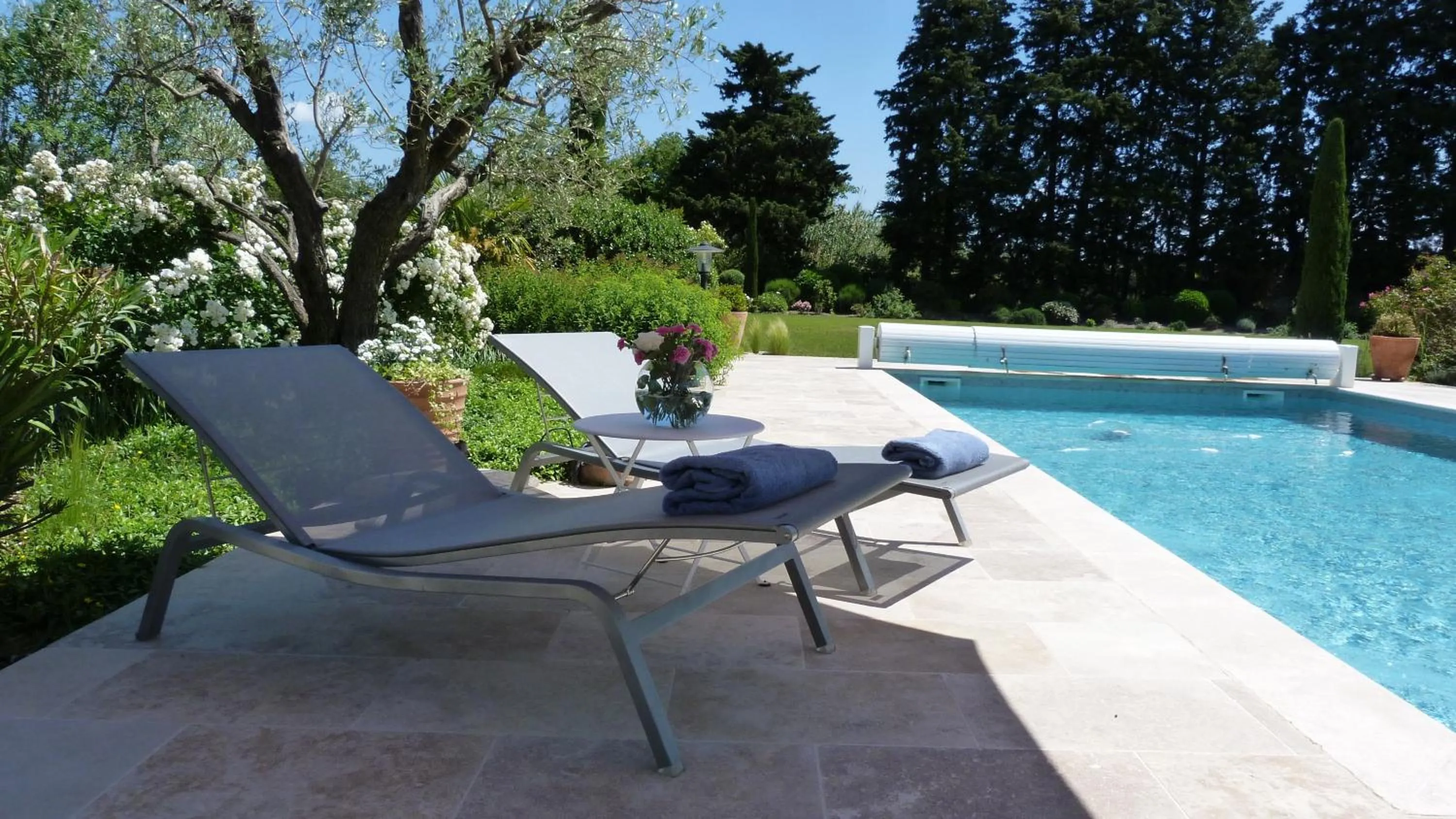 Swimming pool in Mas de Chantounette