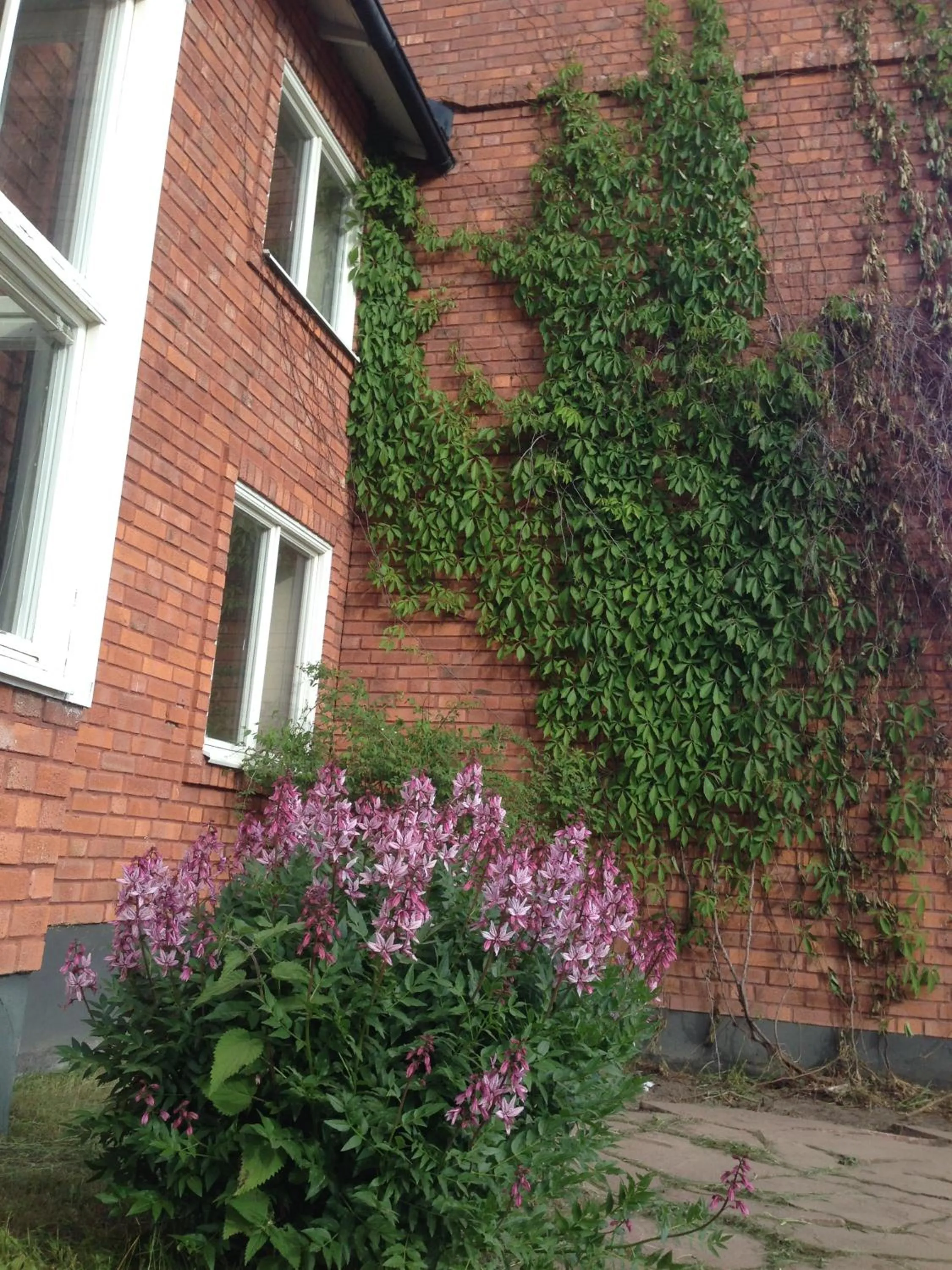 Garden in Kullan