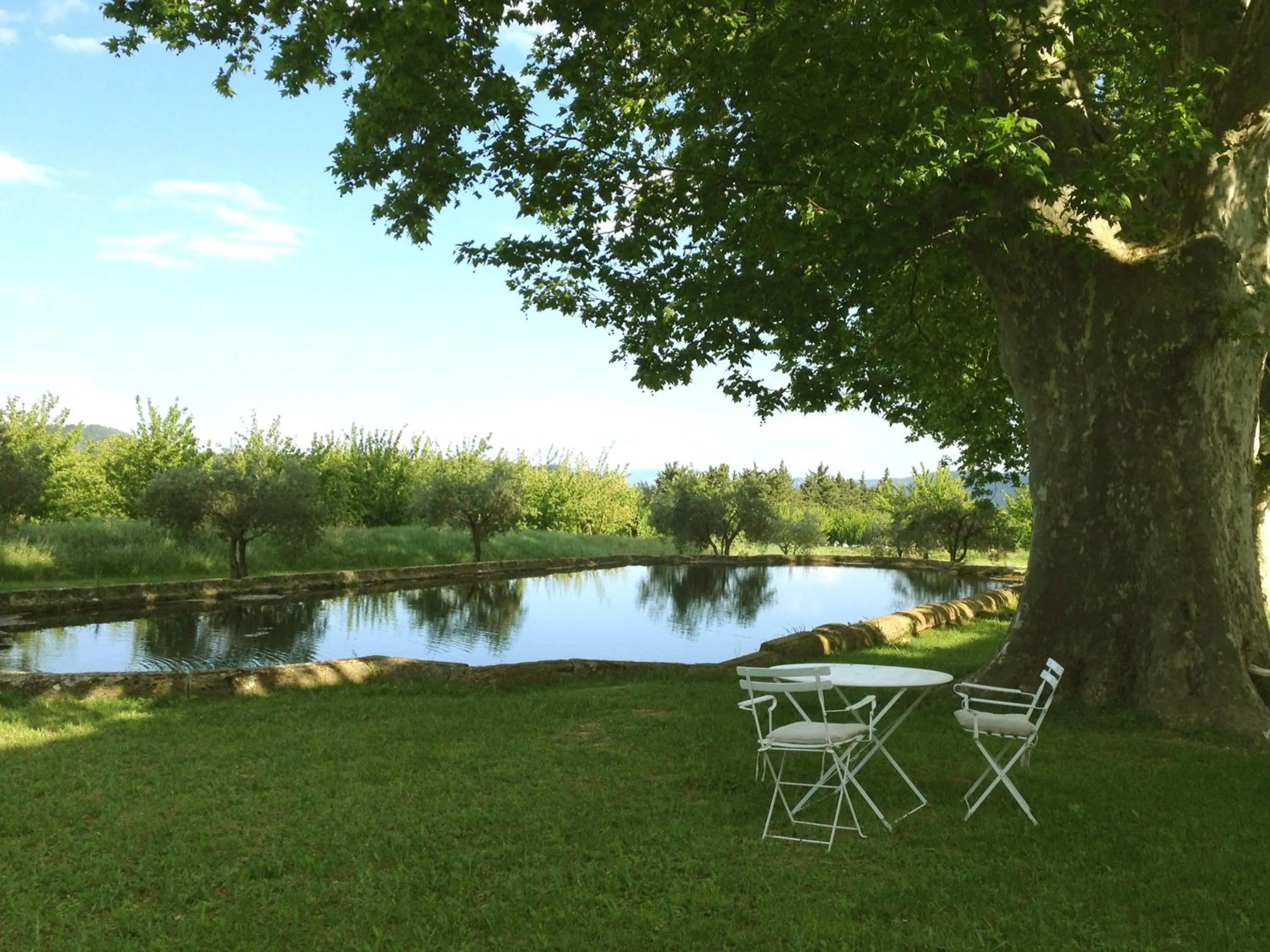 View (from property/room) in Domaine la Carraire